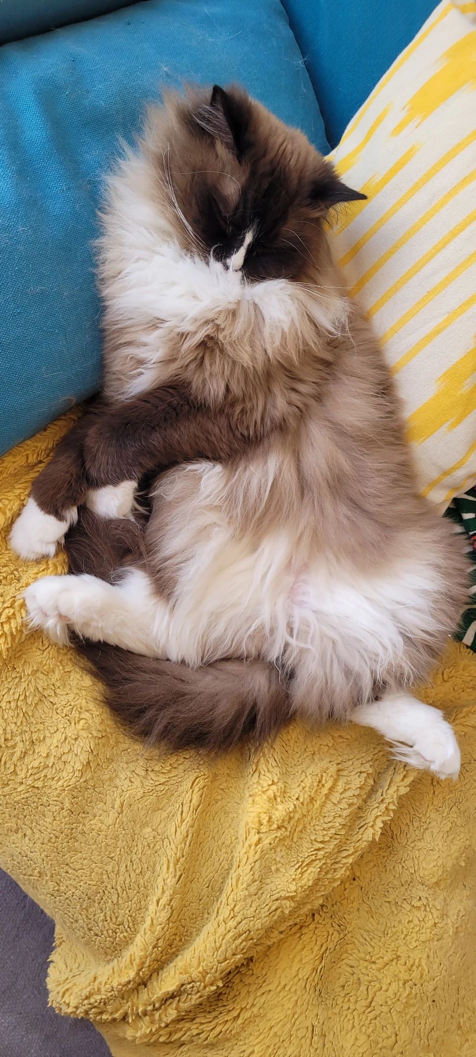 image-39