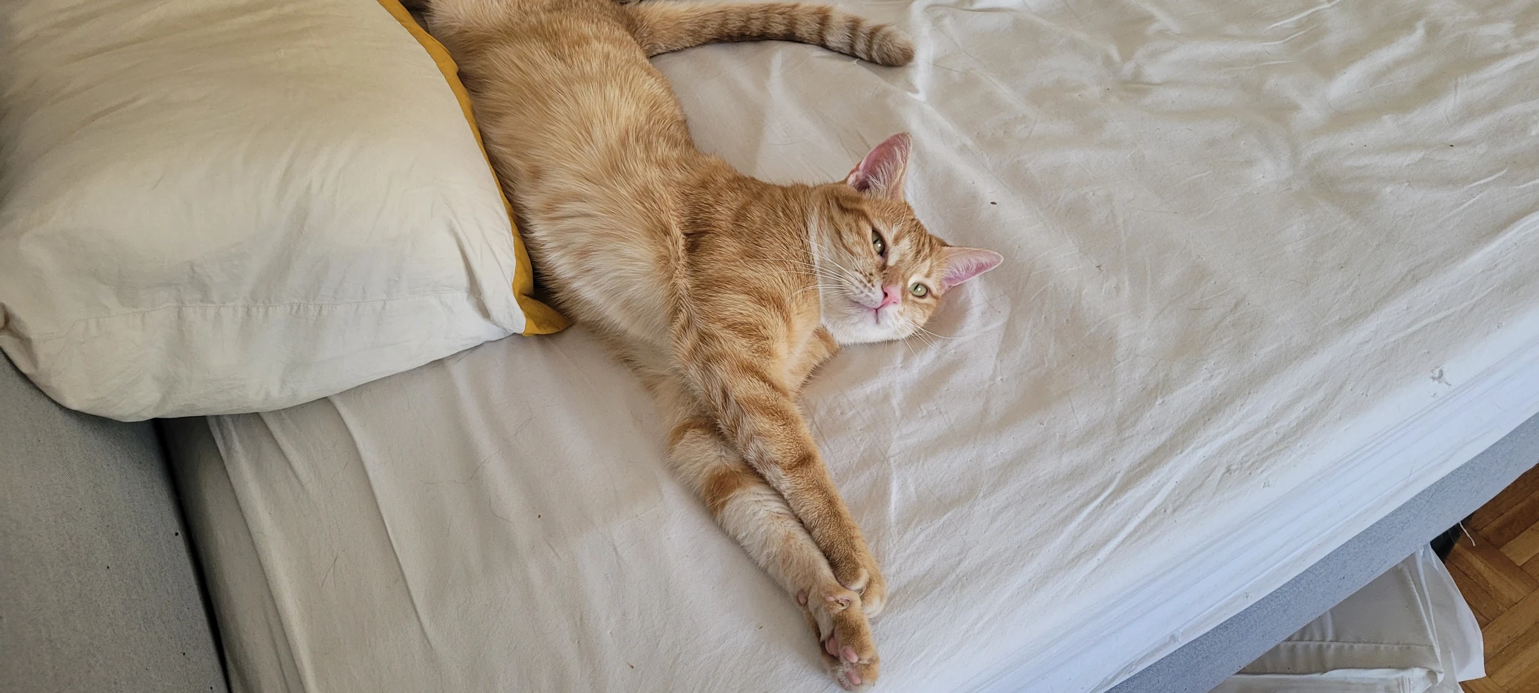 image-40