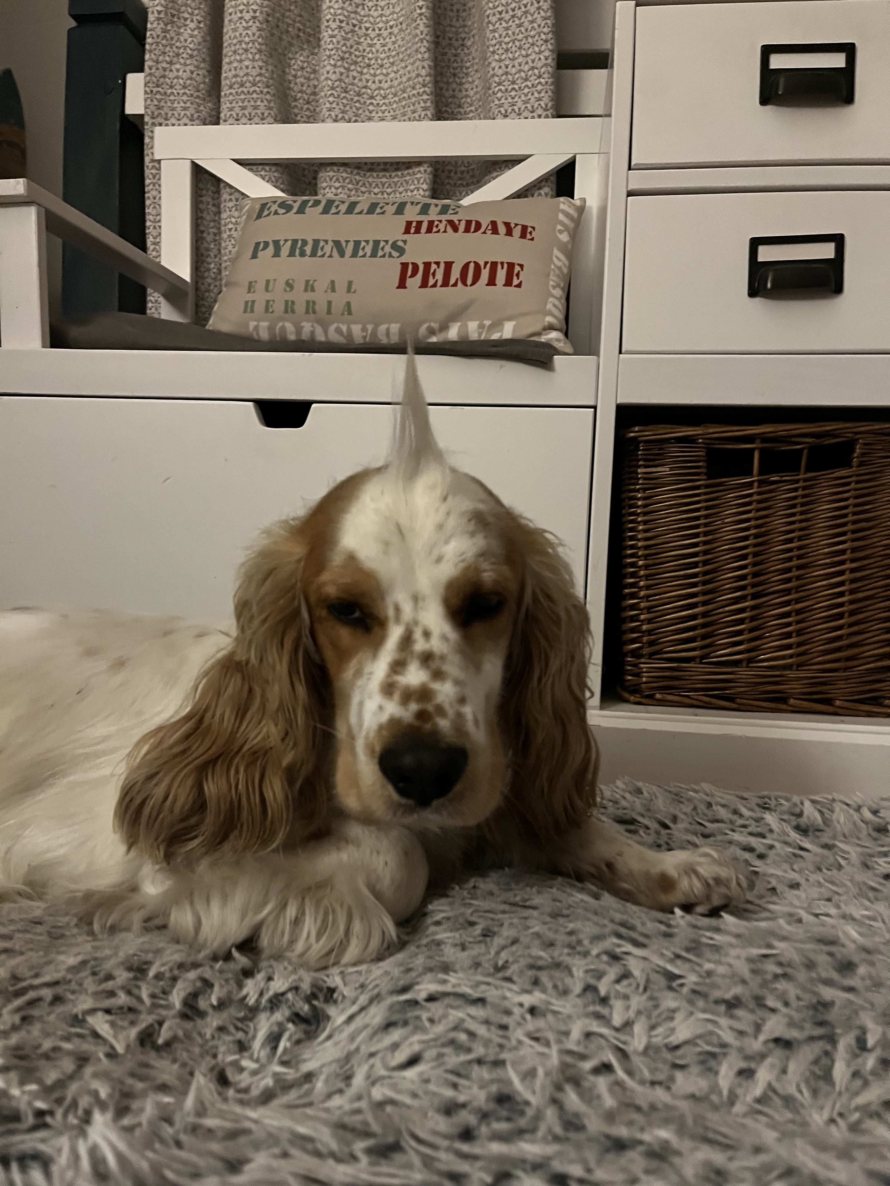 image-2
