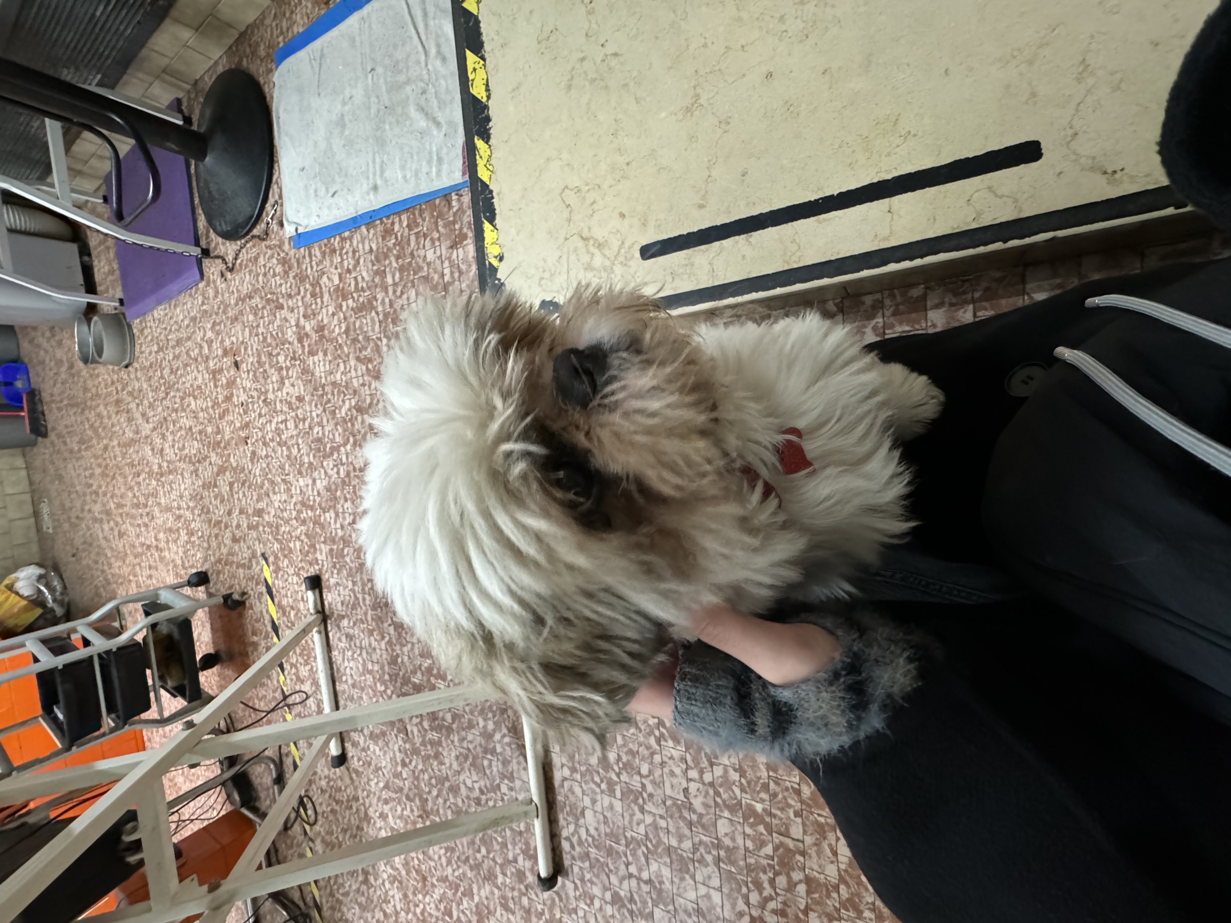 image-5