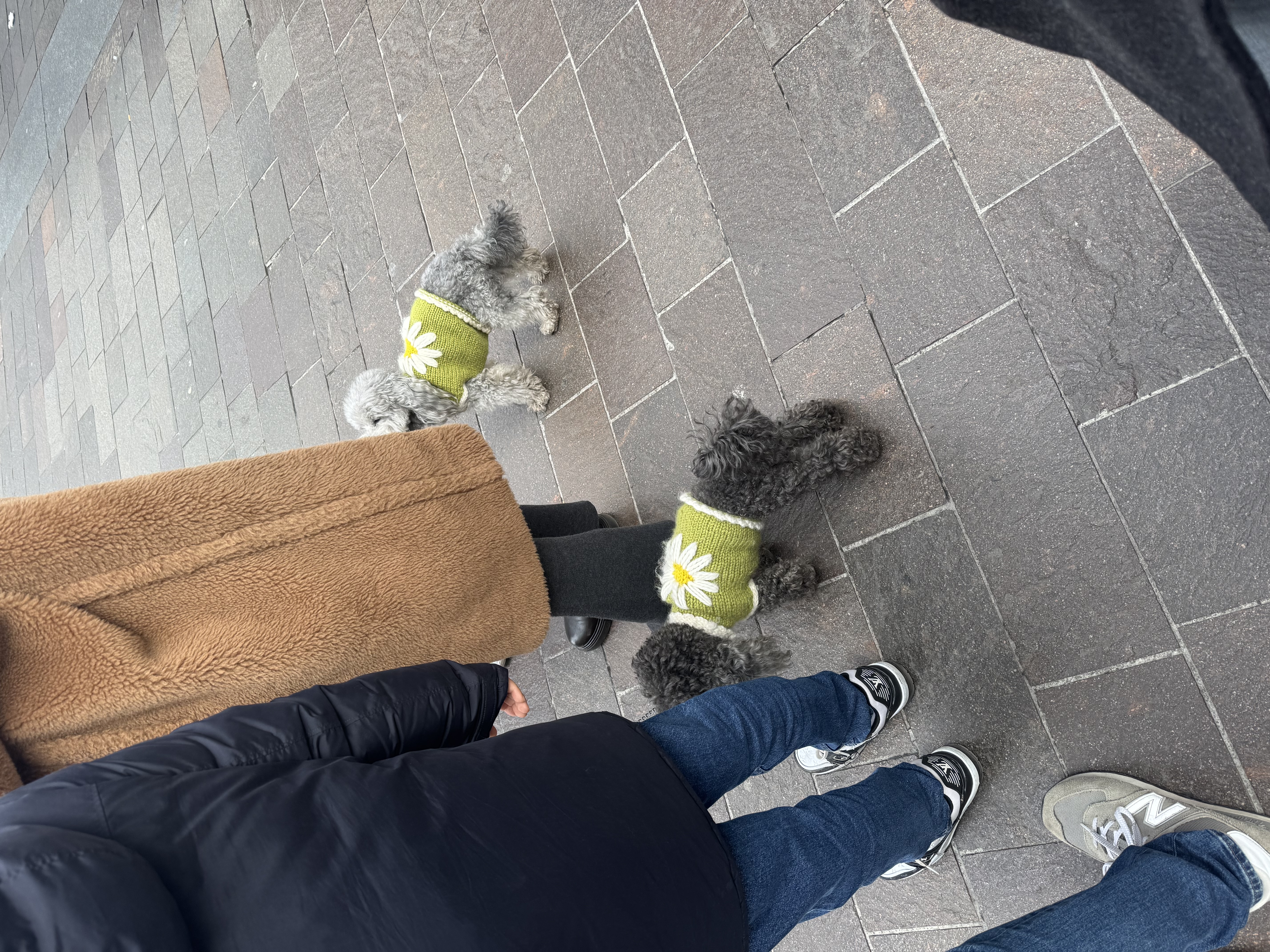 image-8