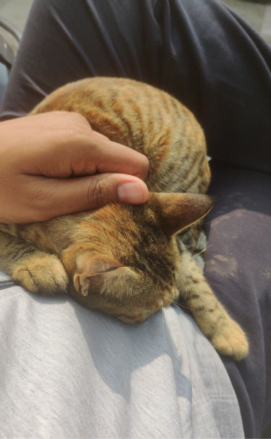 image-8