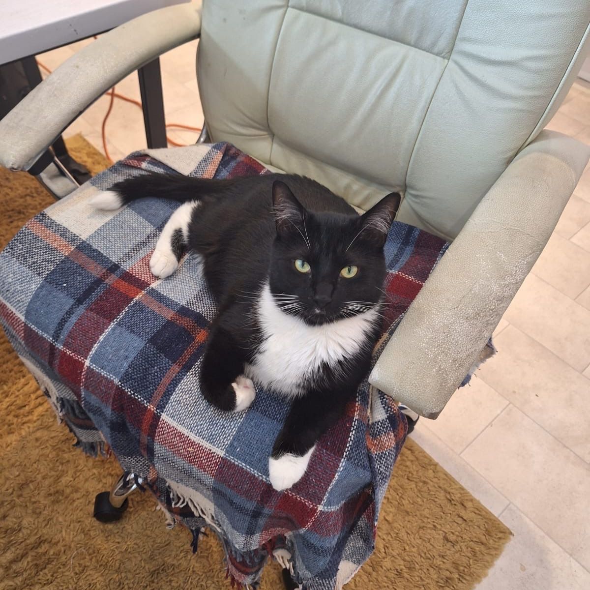 Pablo