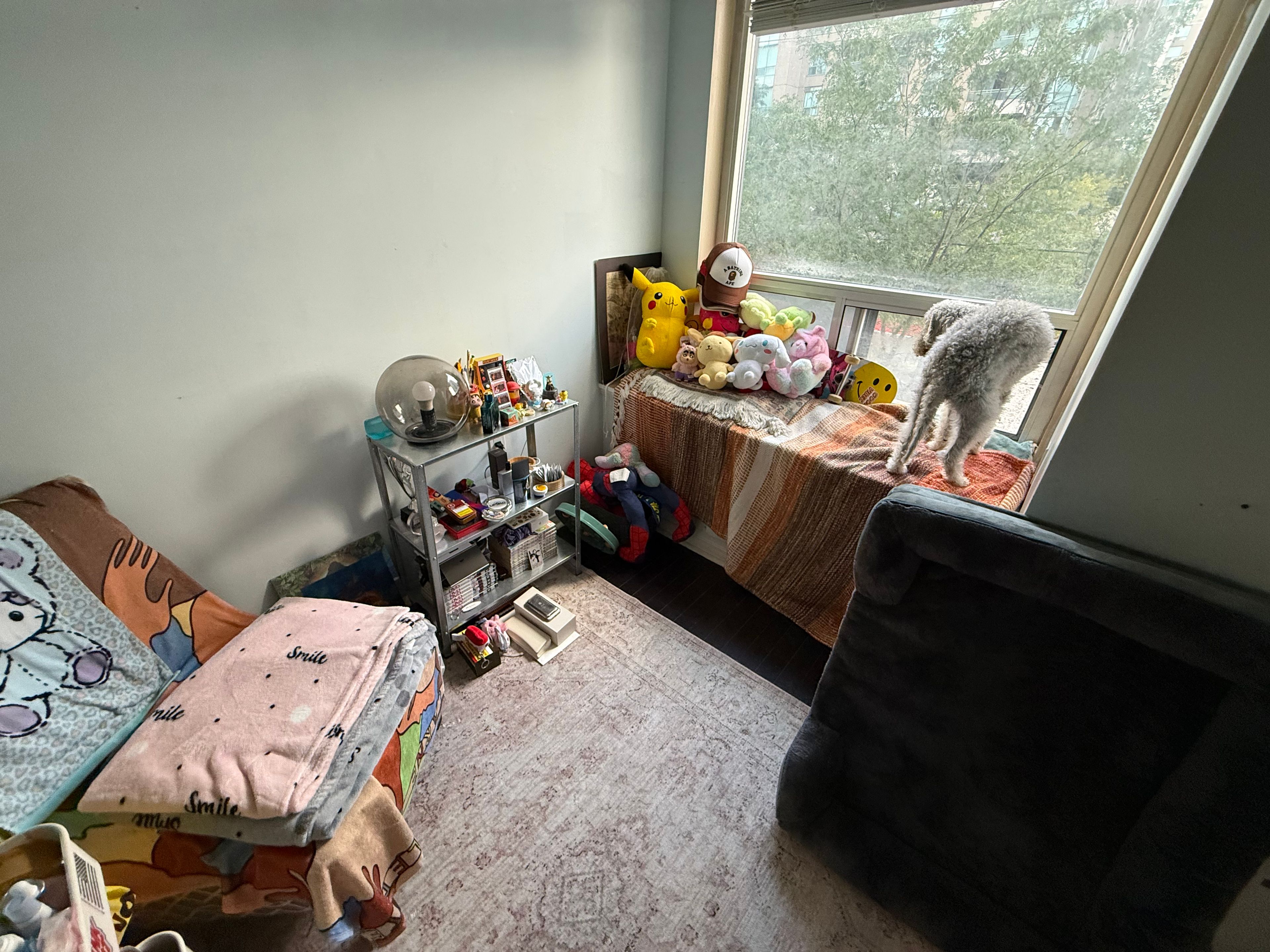 image-7