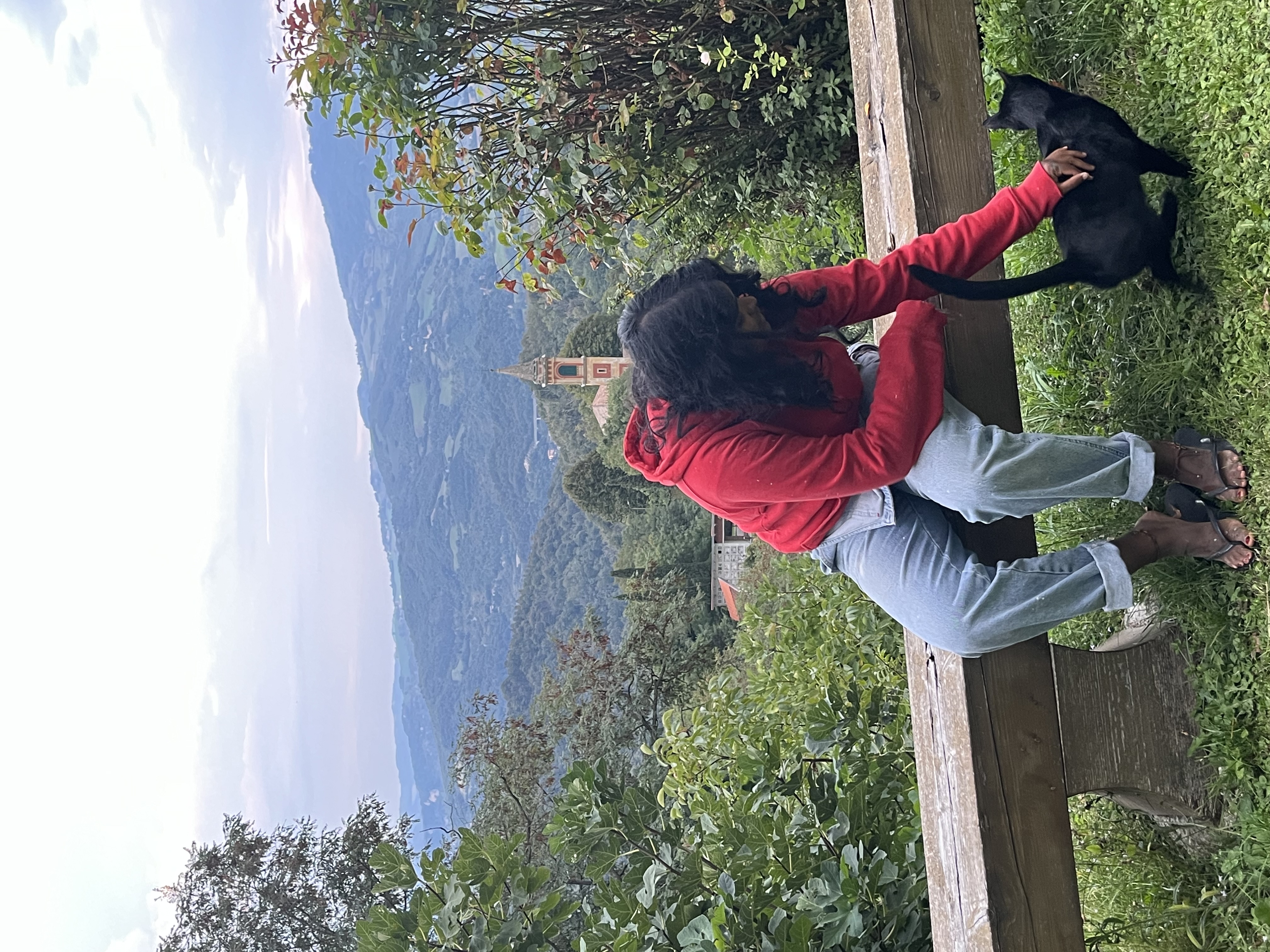 image-4