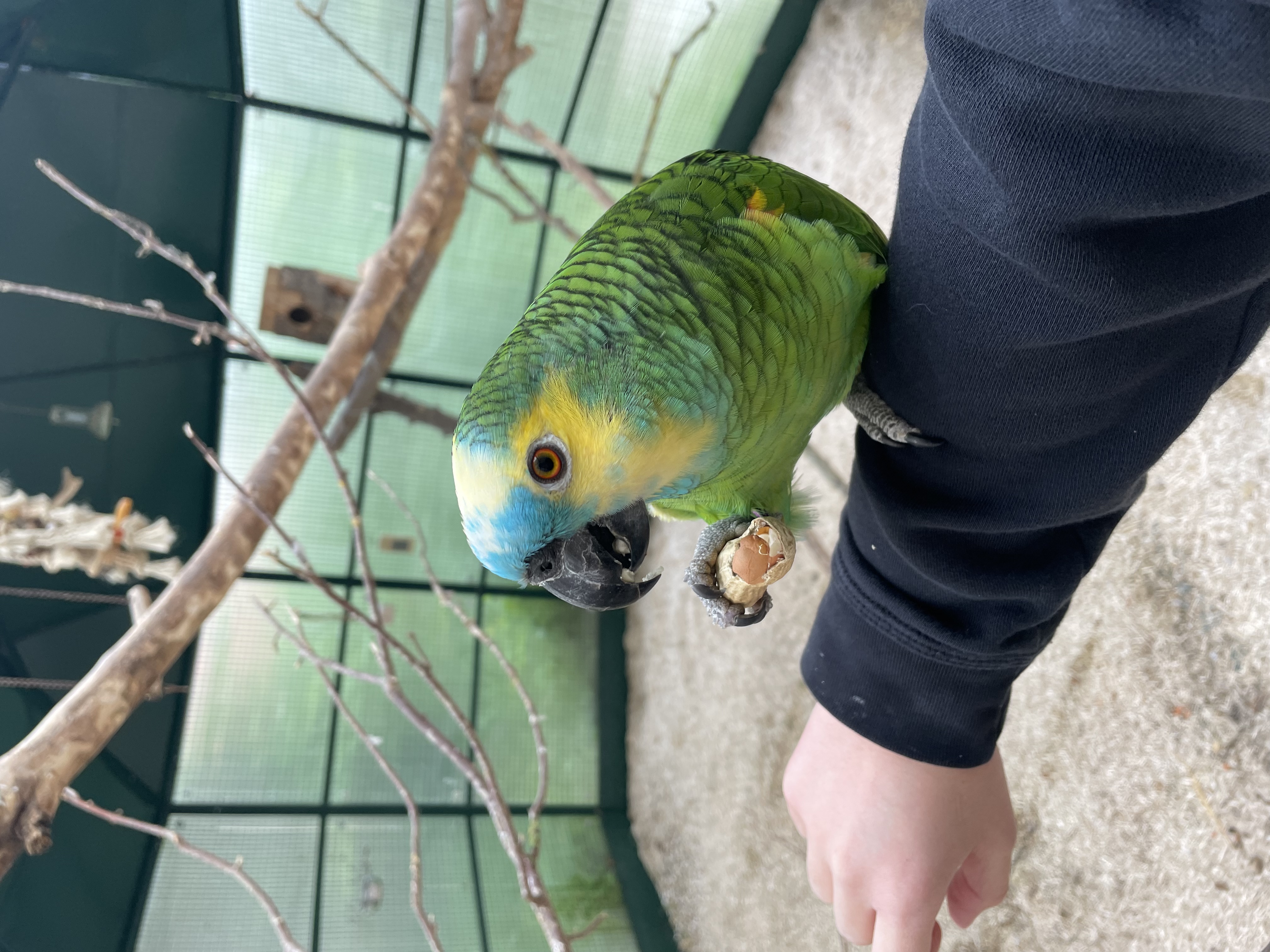 image-6