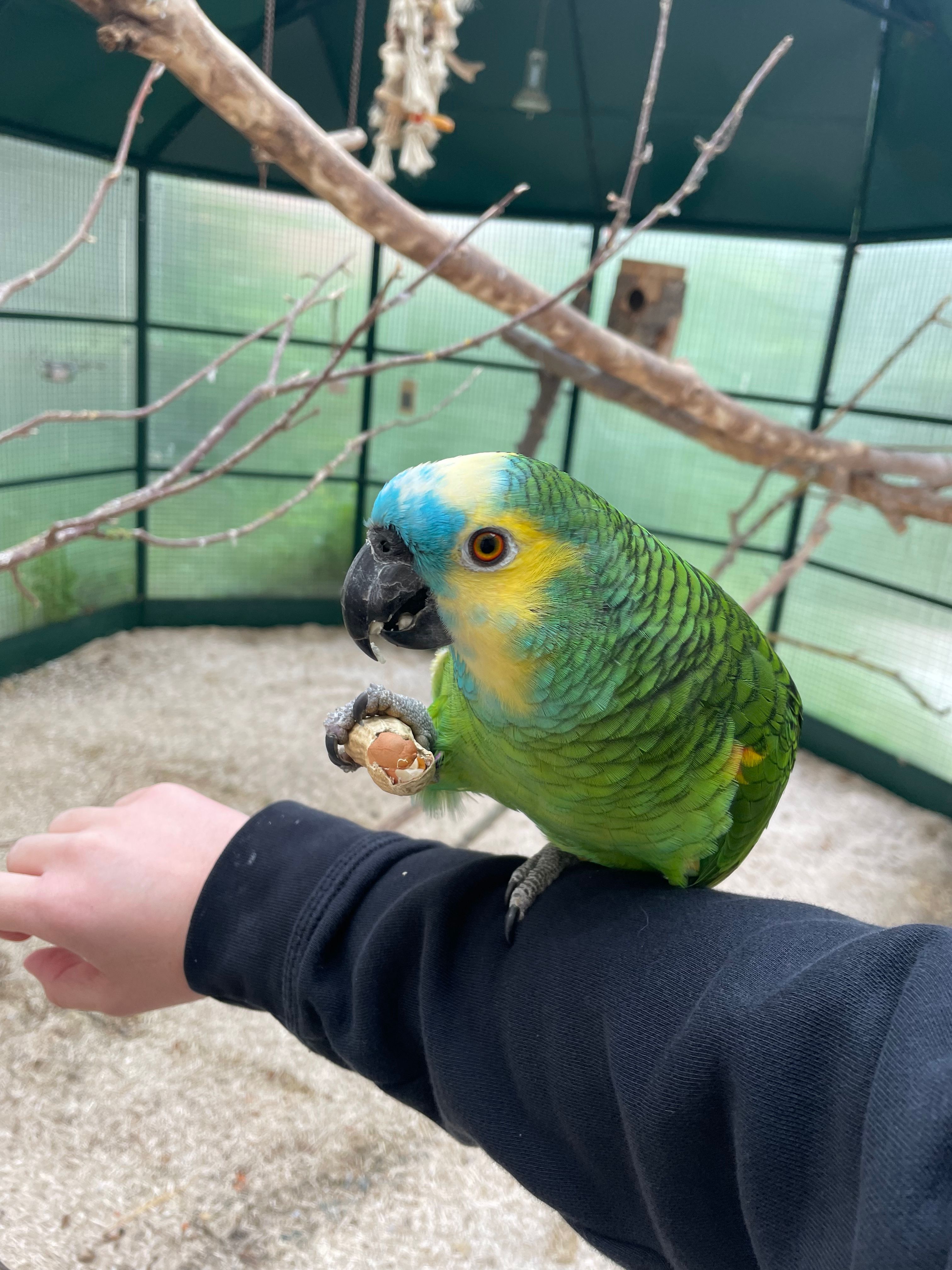 image-6