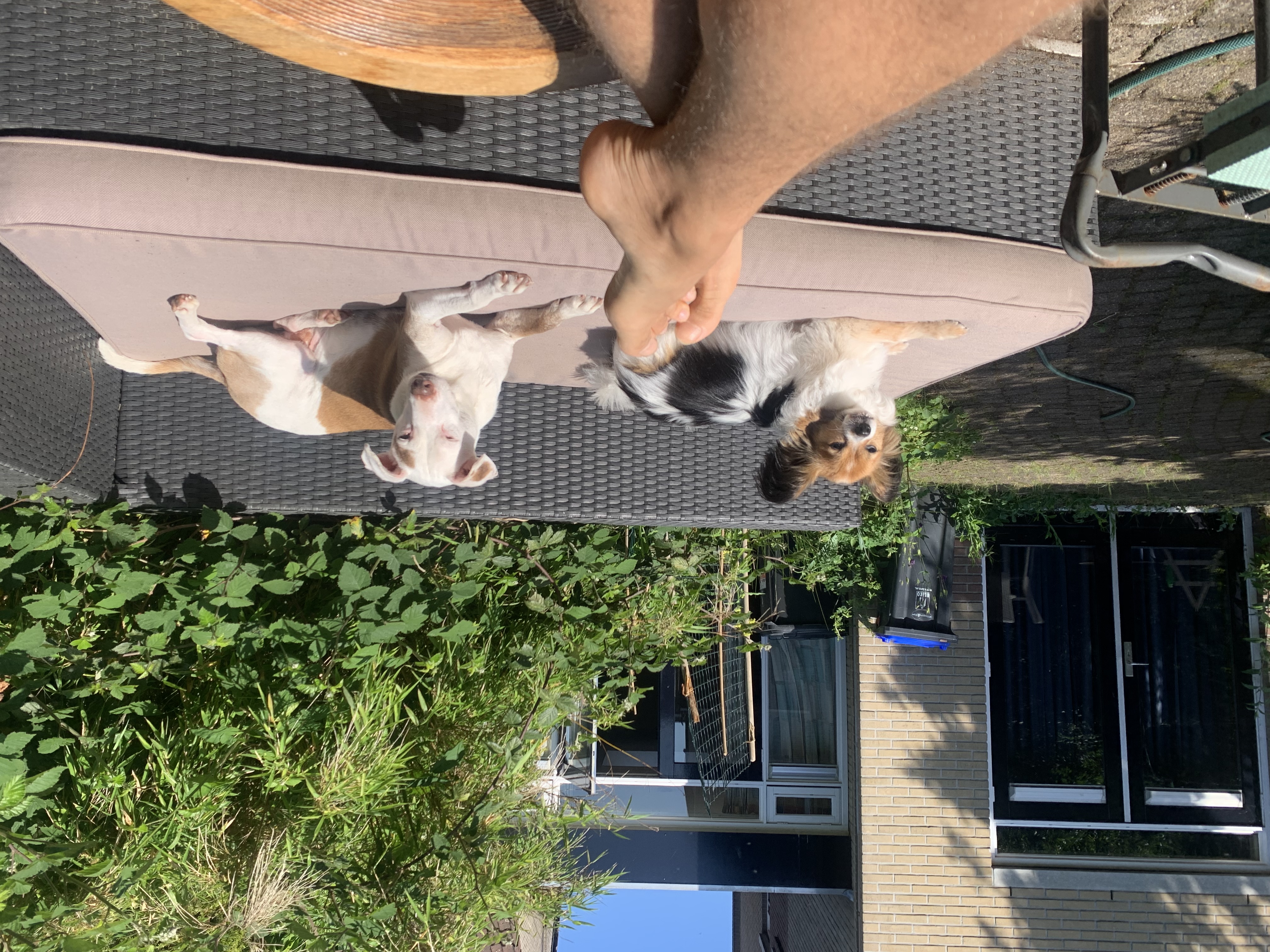 image-16