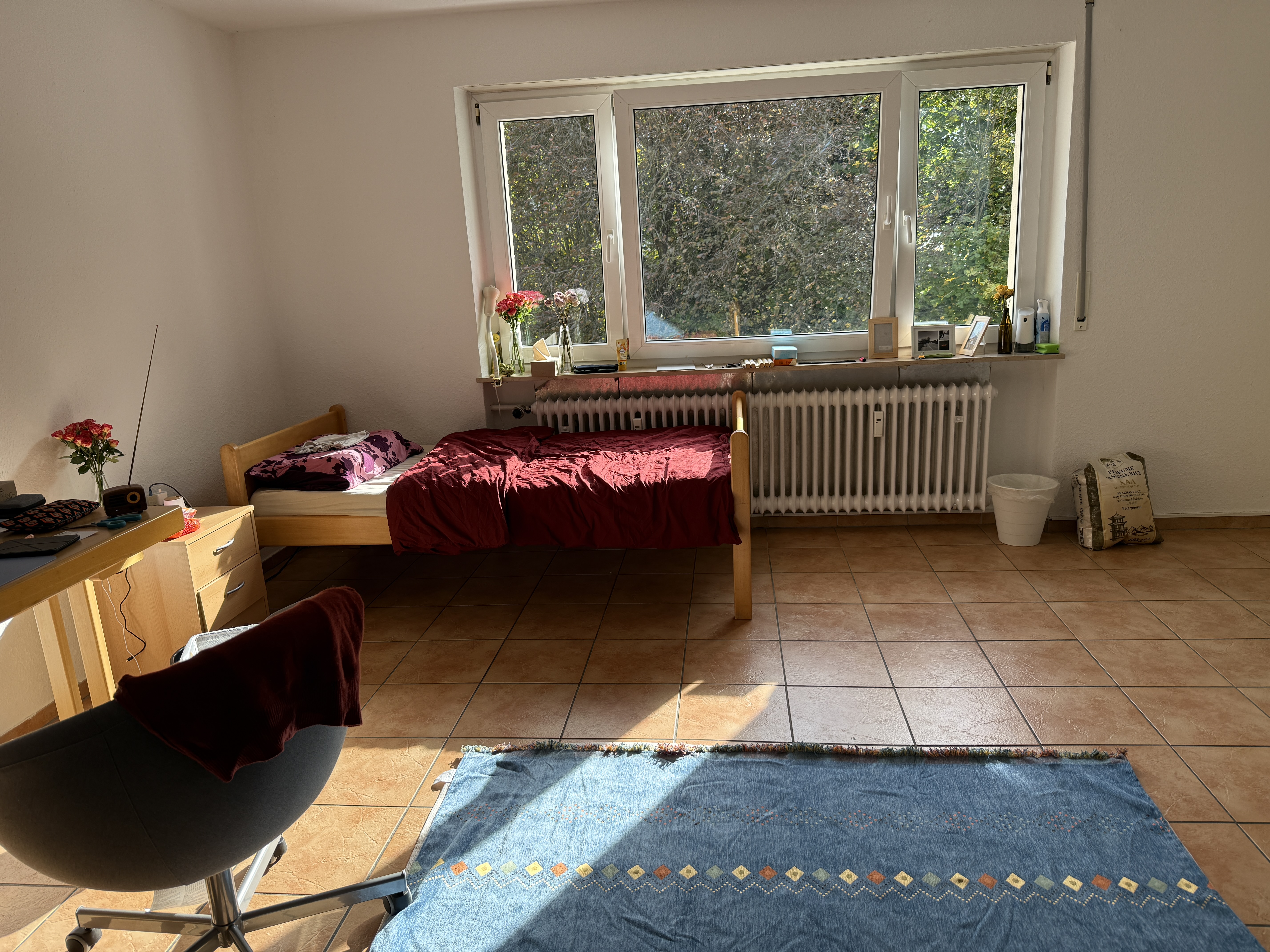 image-15