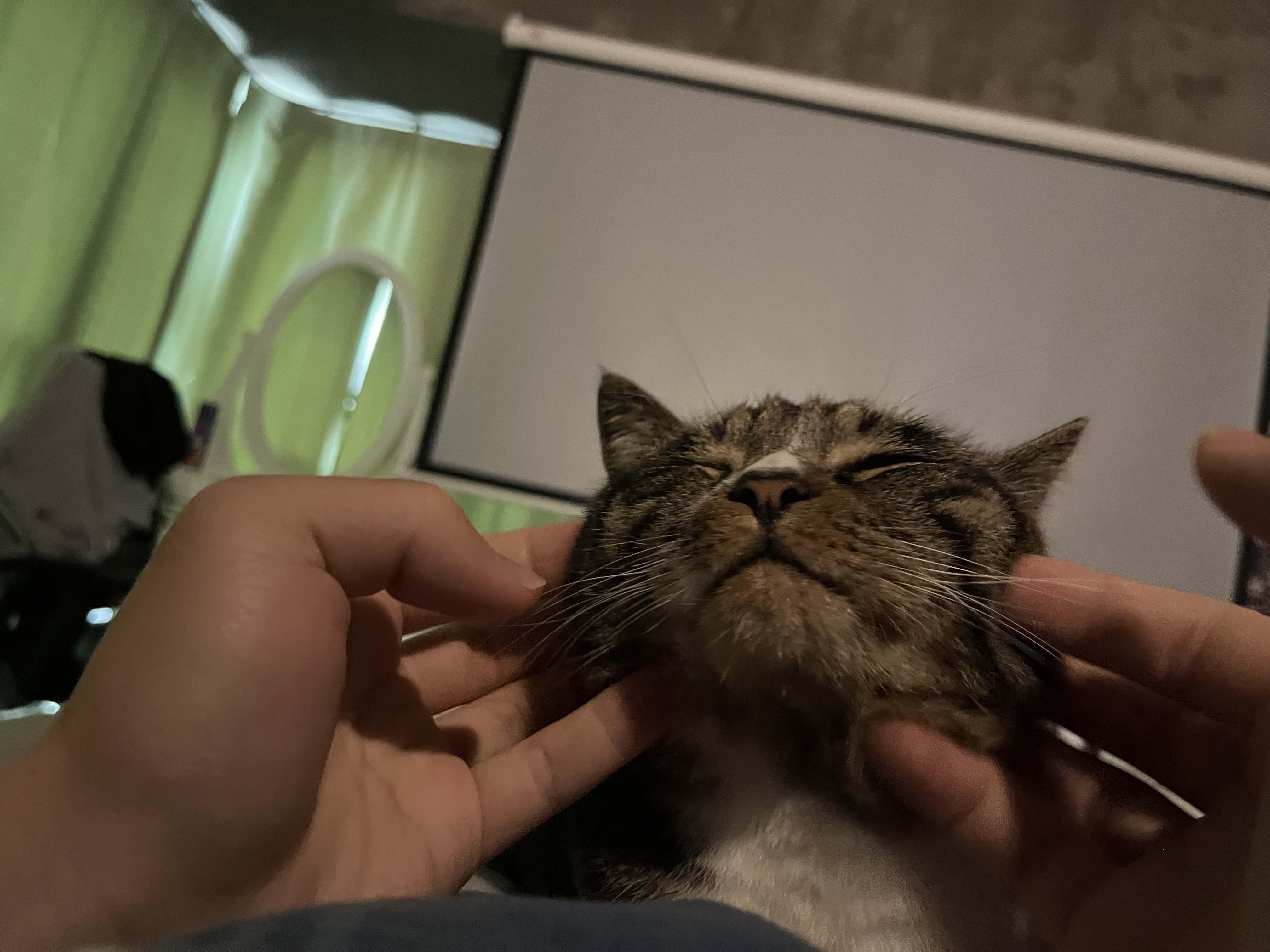 image-9