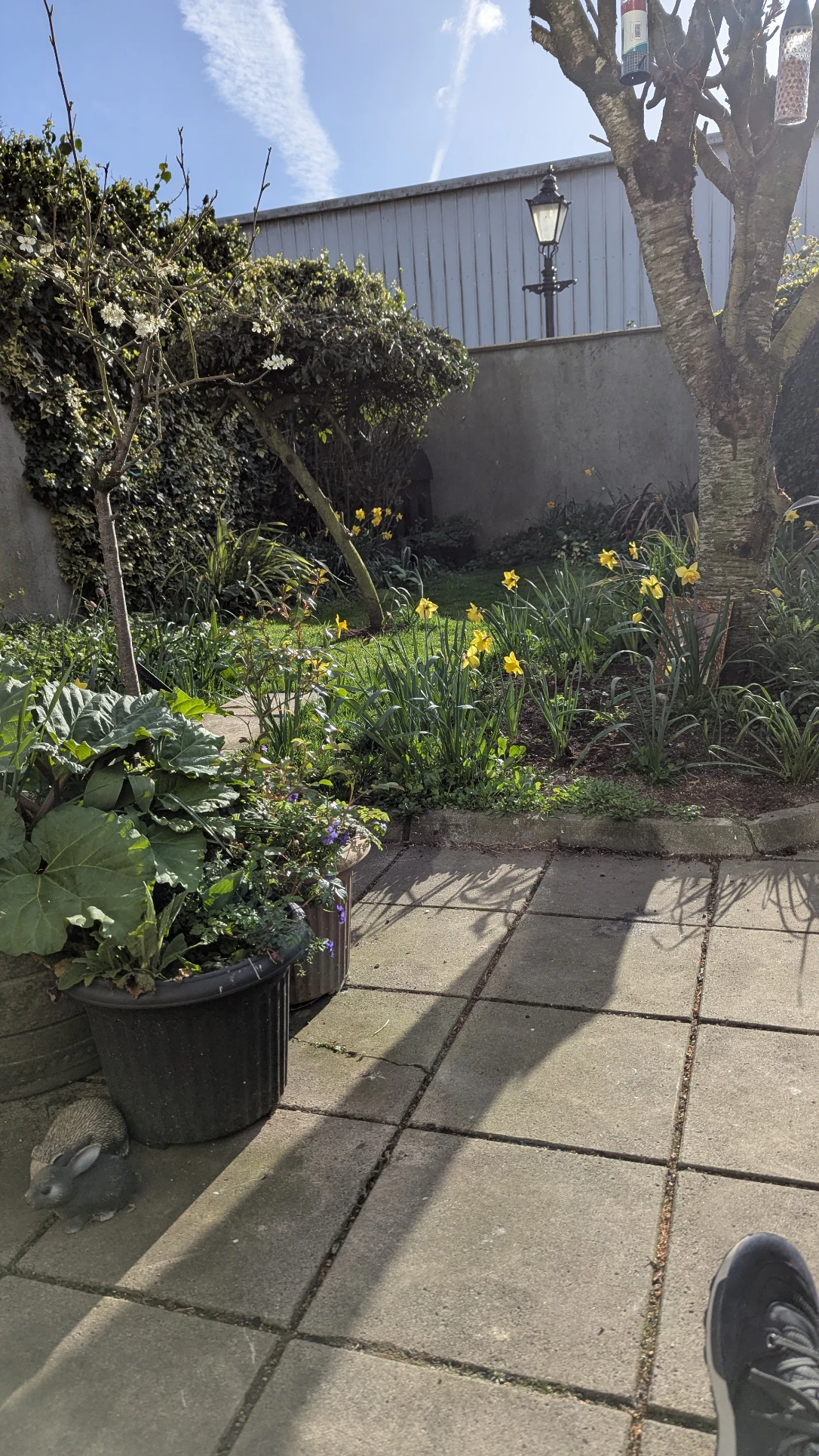 image-21