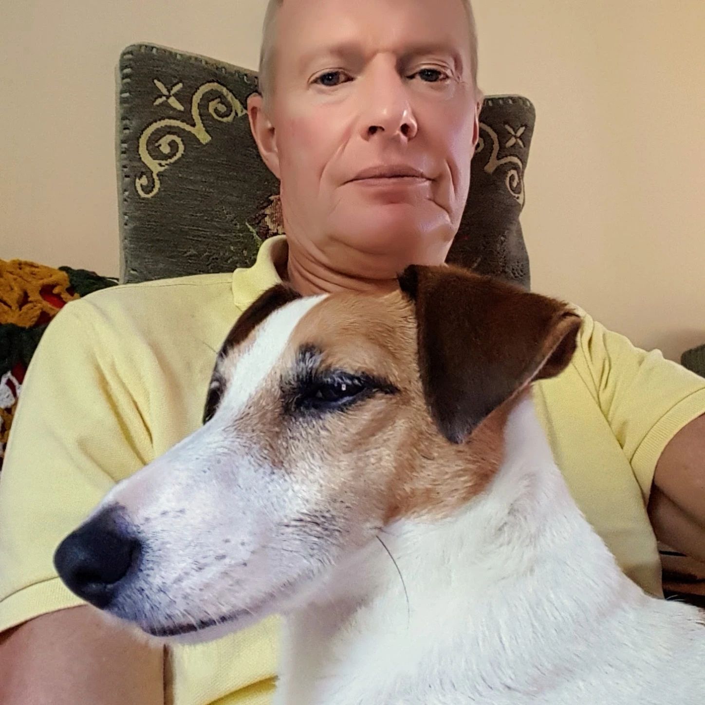 image-26