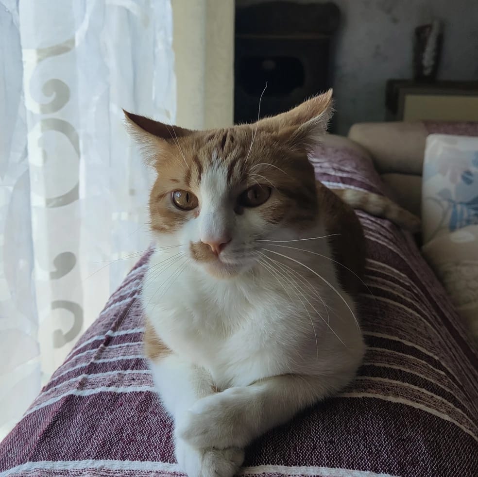 Zoe