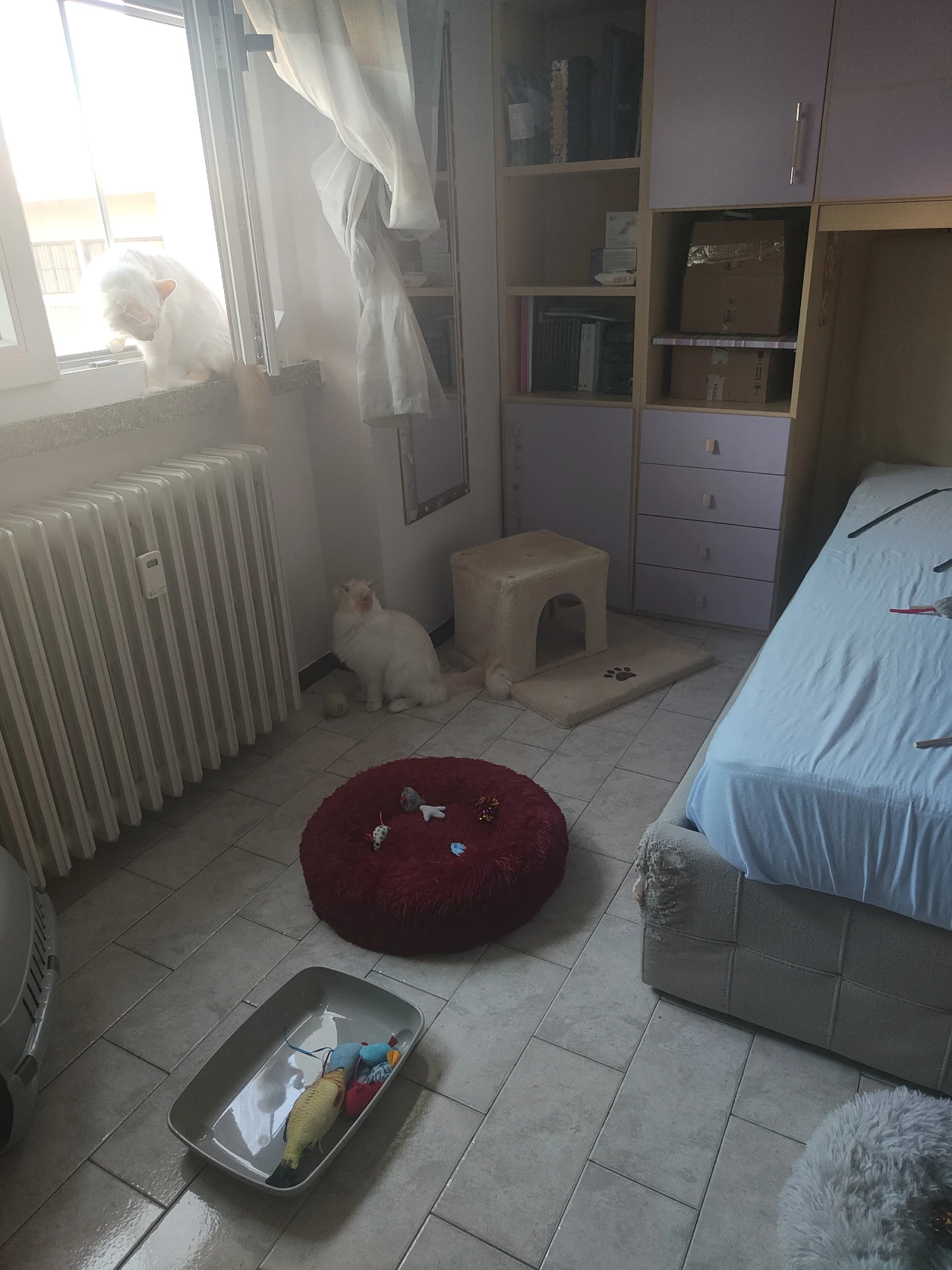 image-14