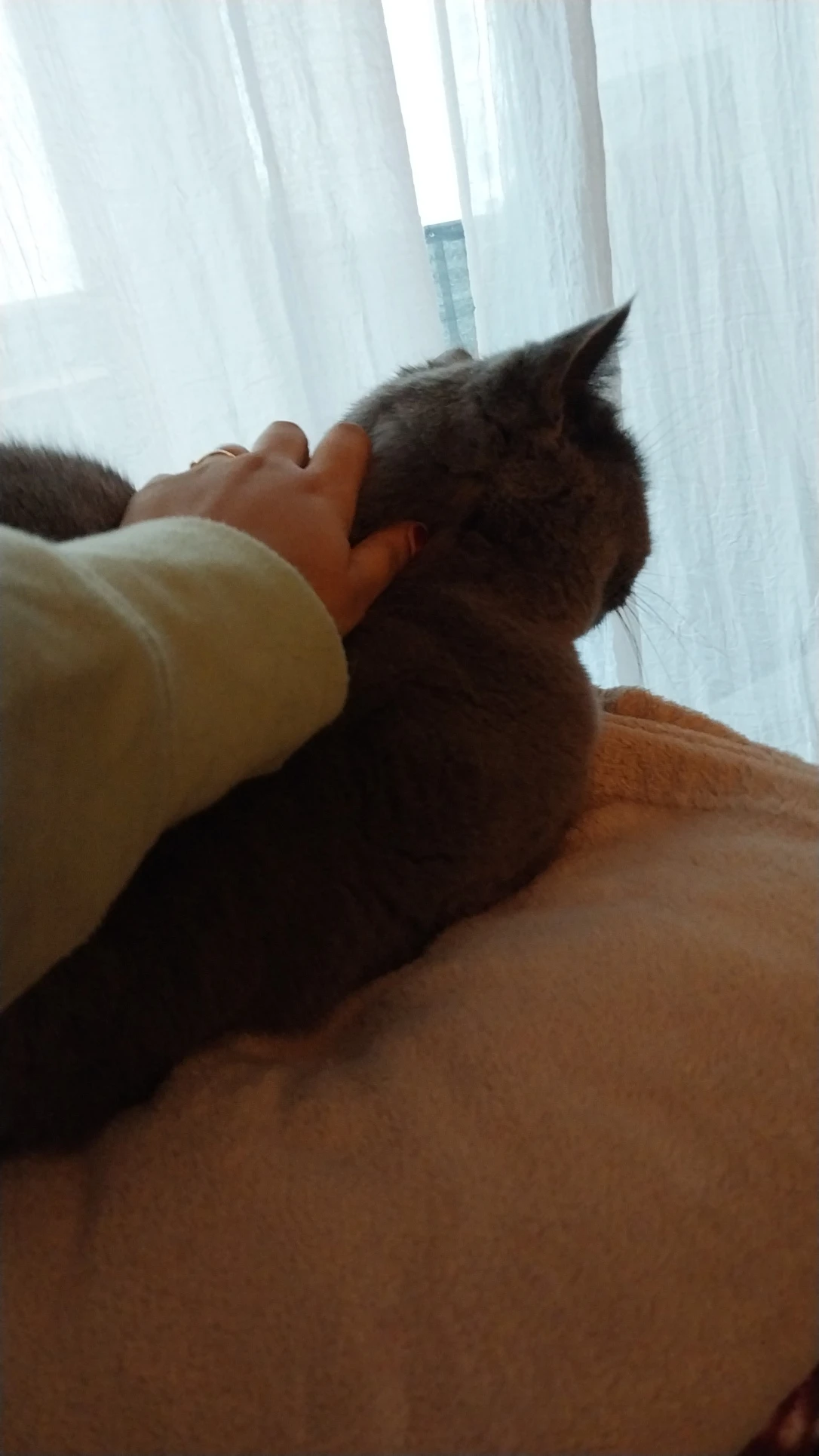 image-5