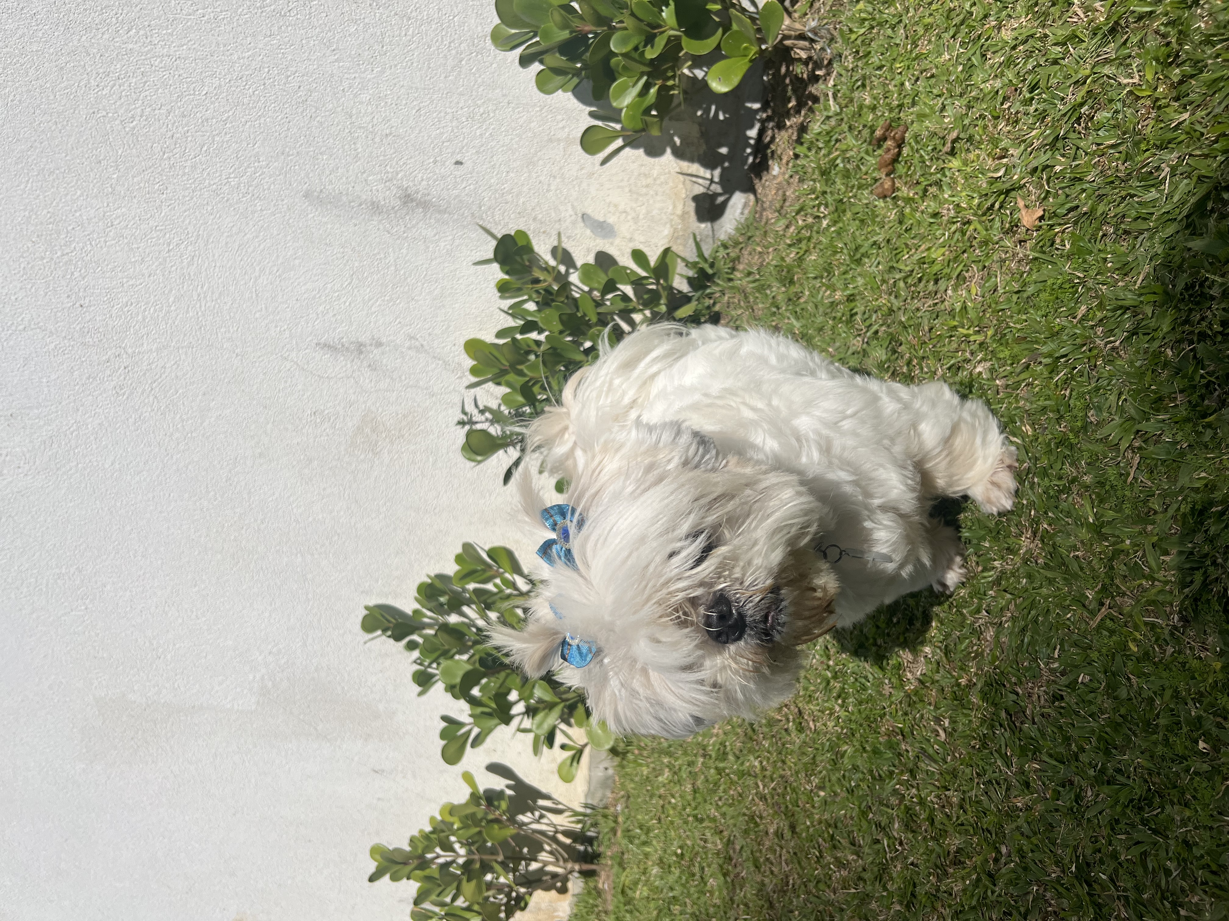 image-12