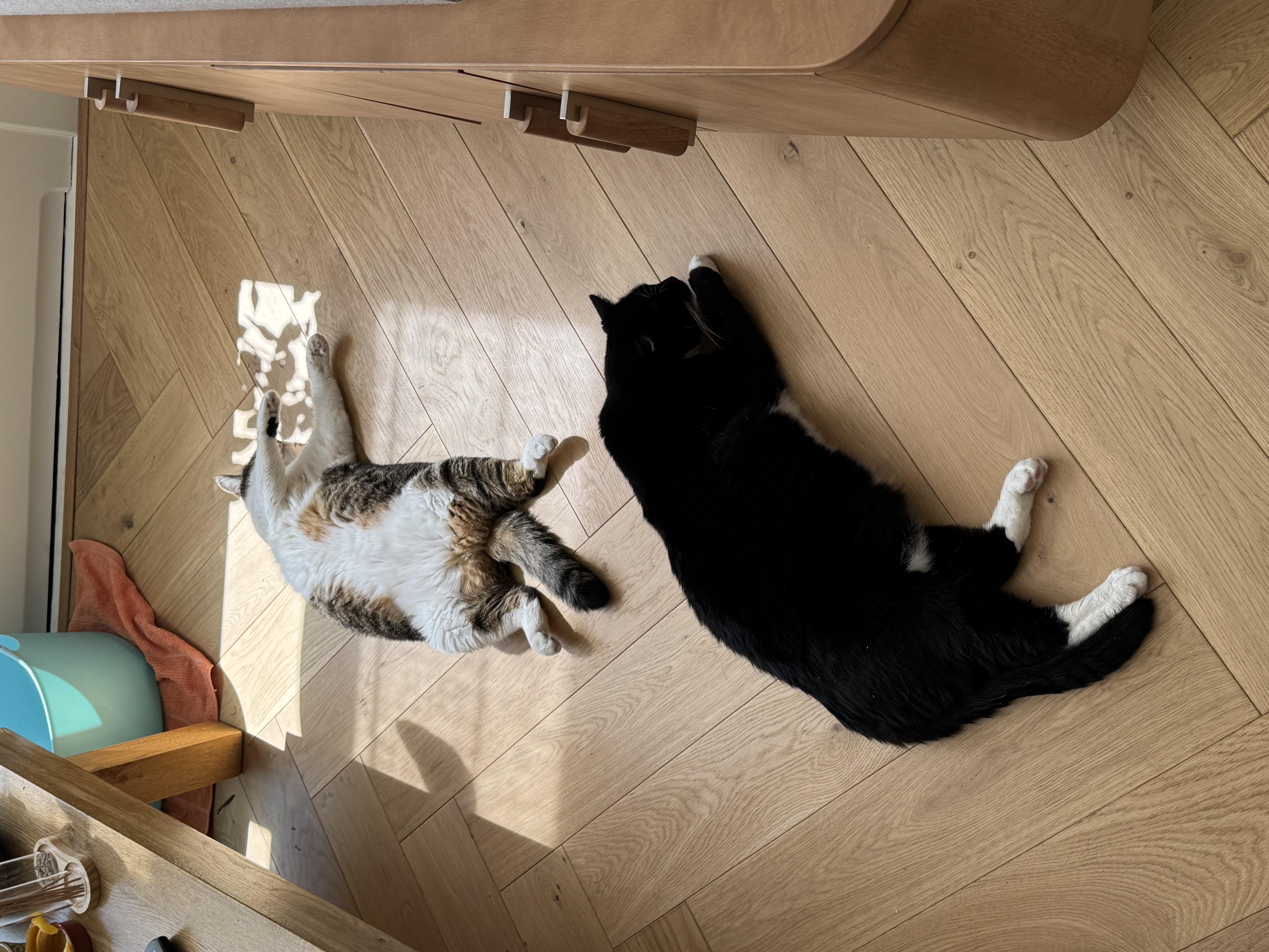 image-6