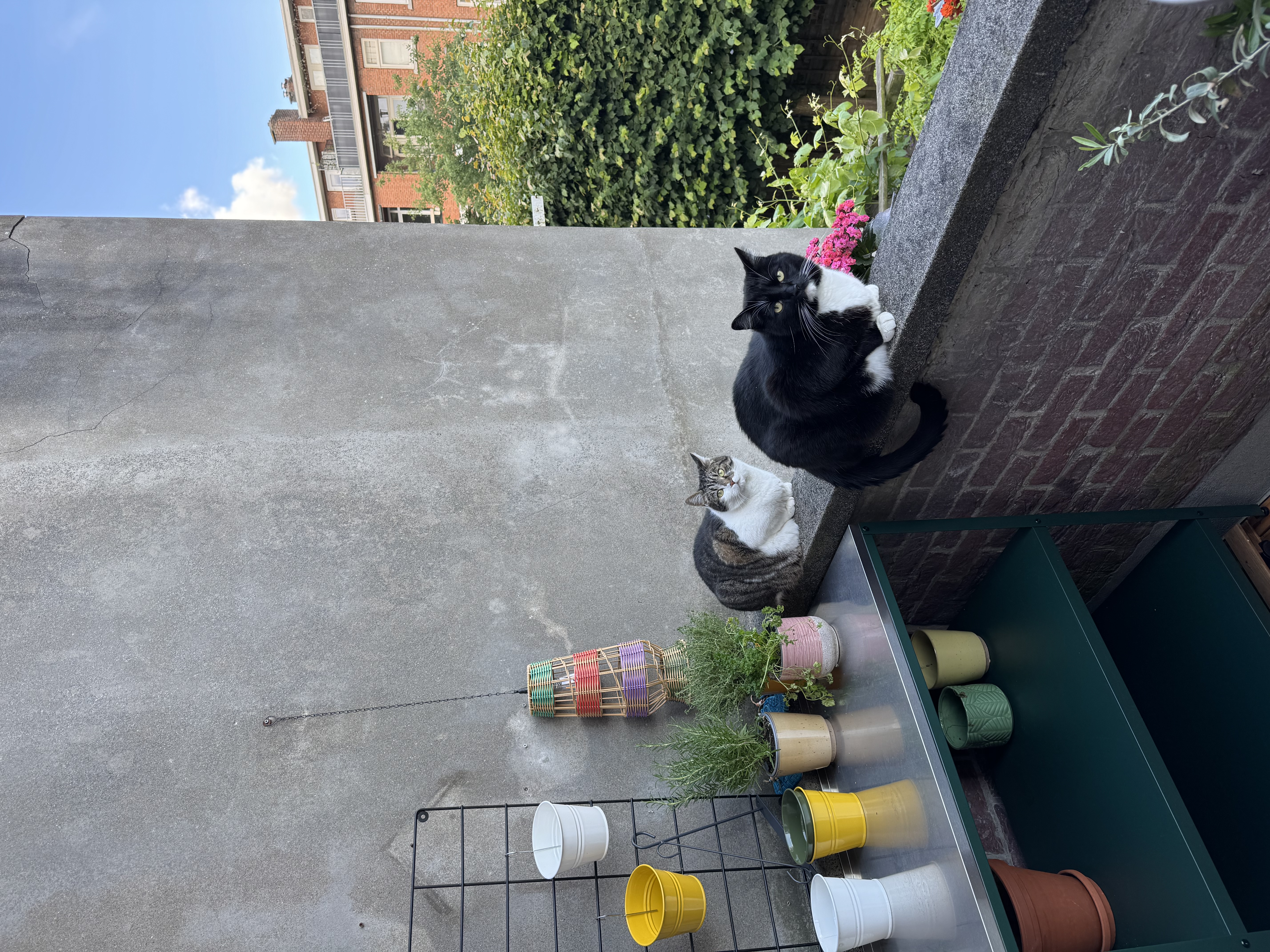 image-5