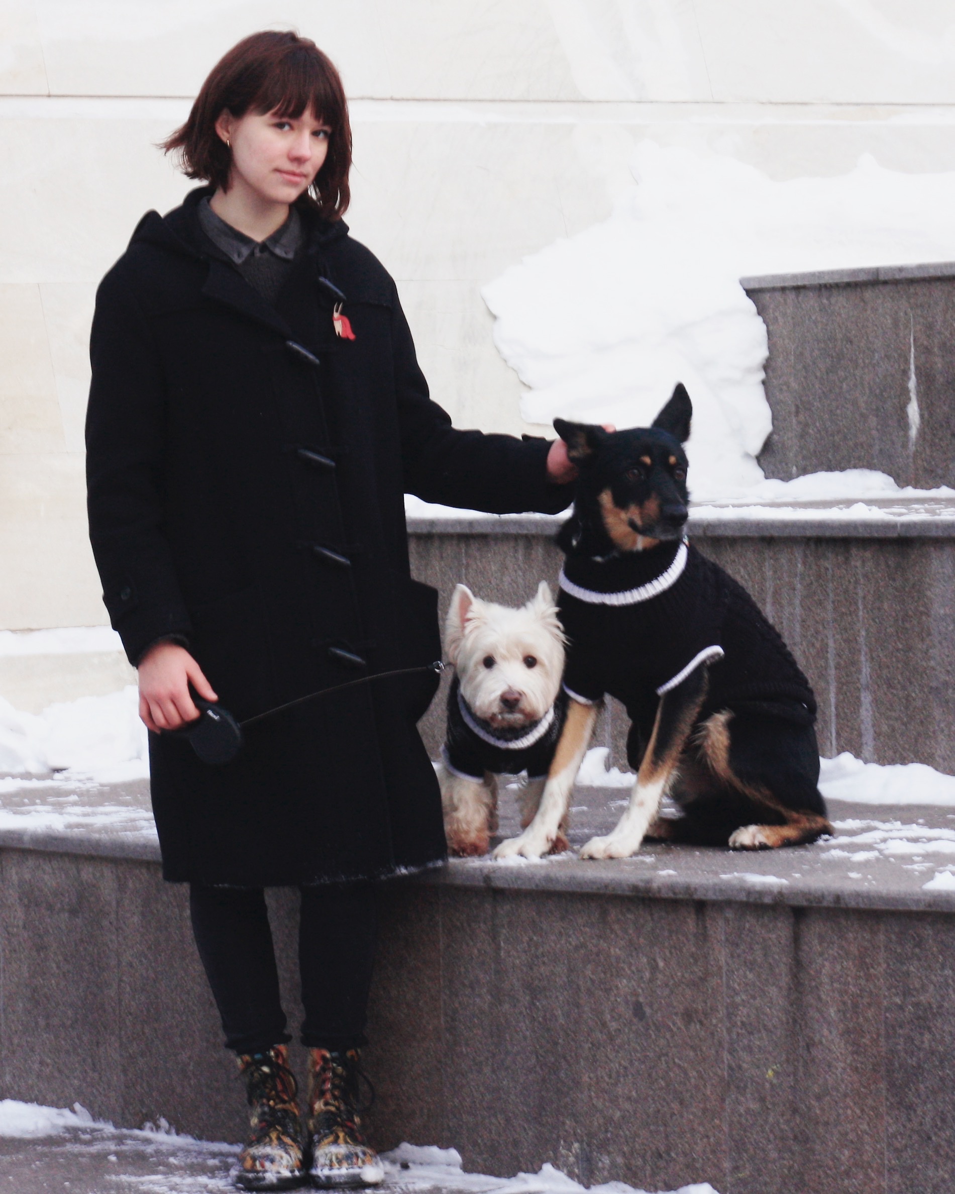image-11