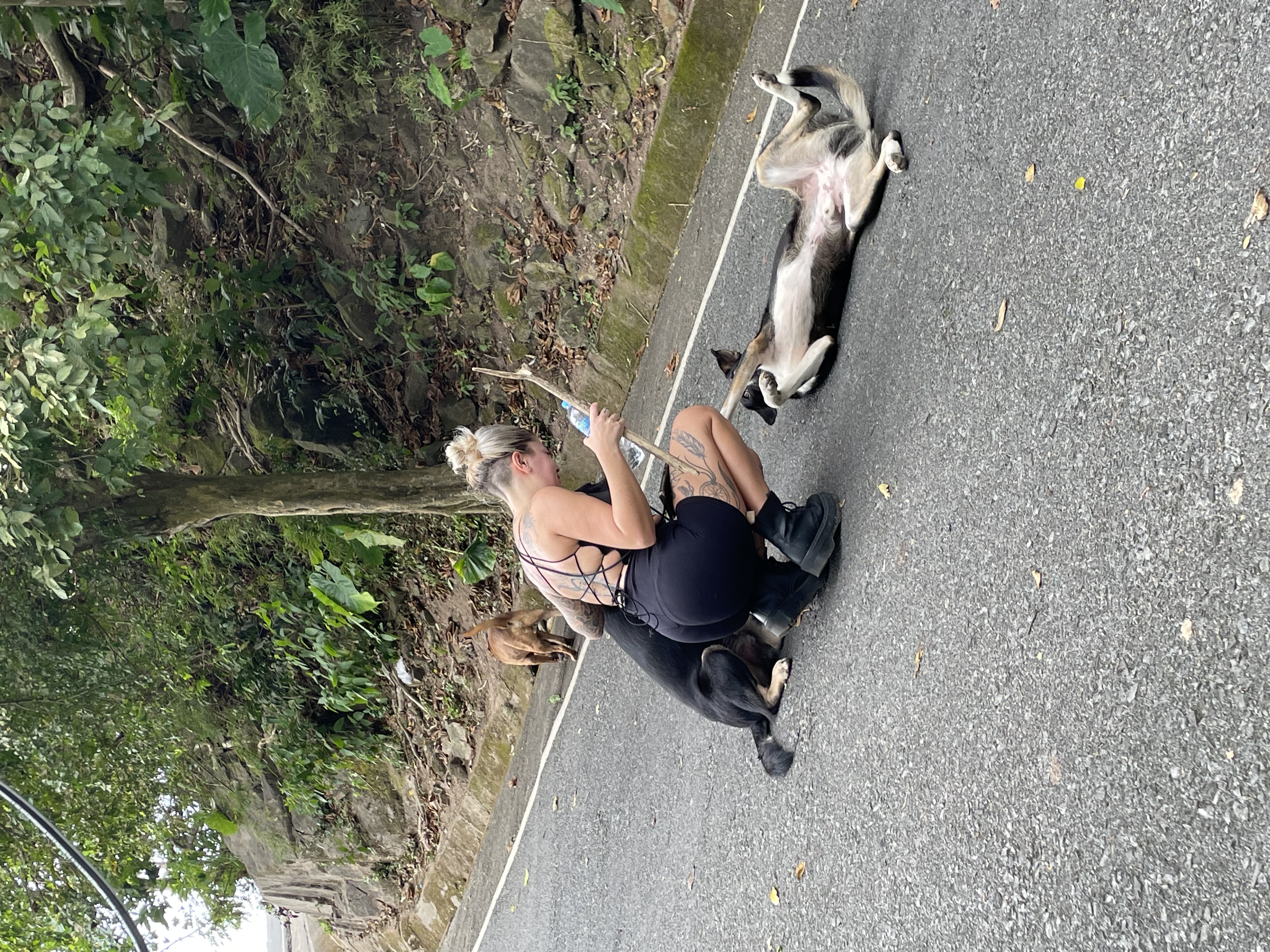 image-5