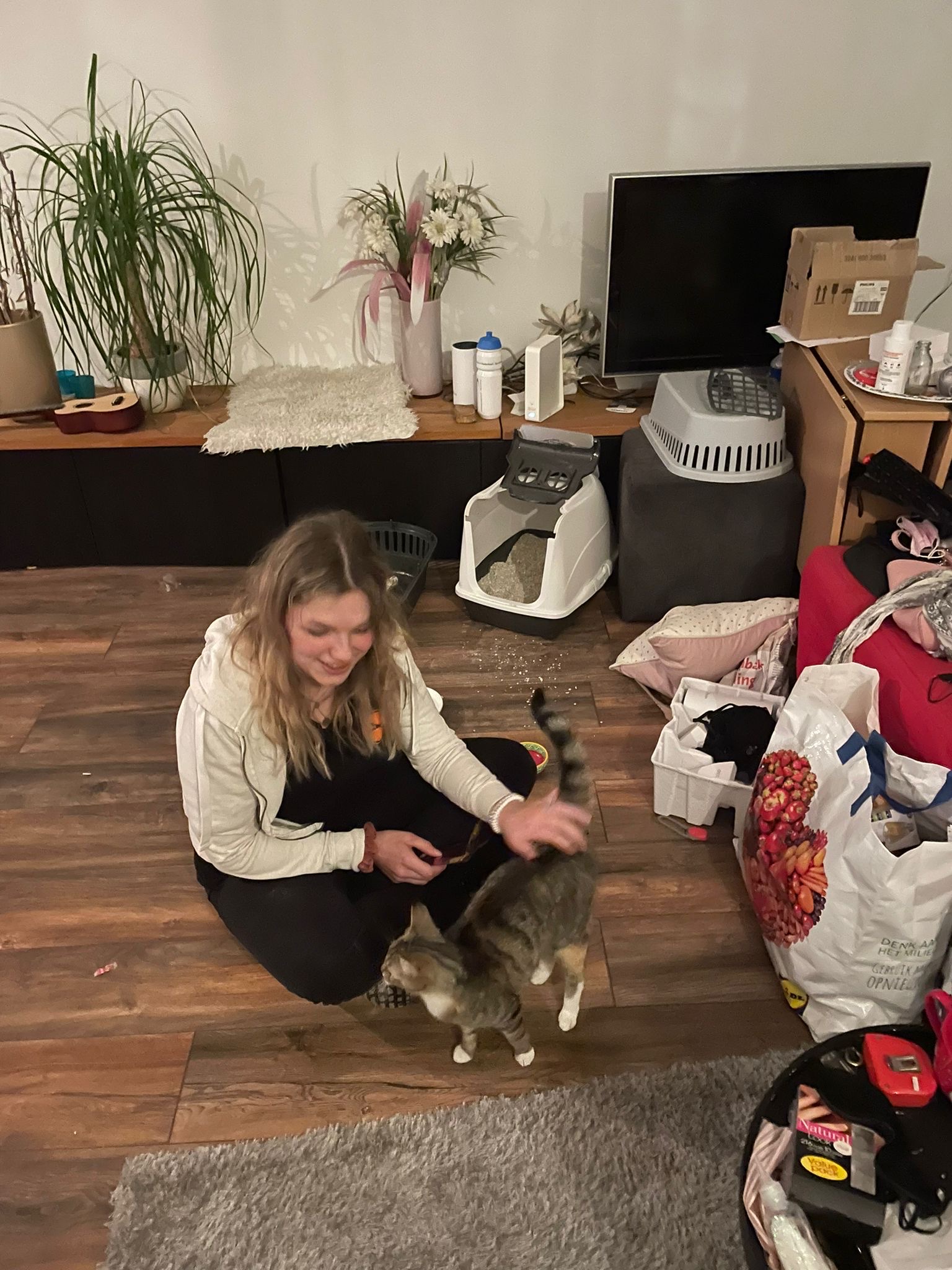 image-8