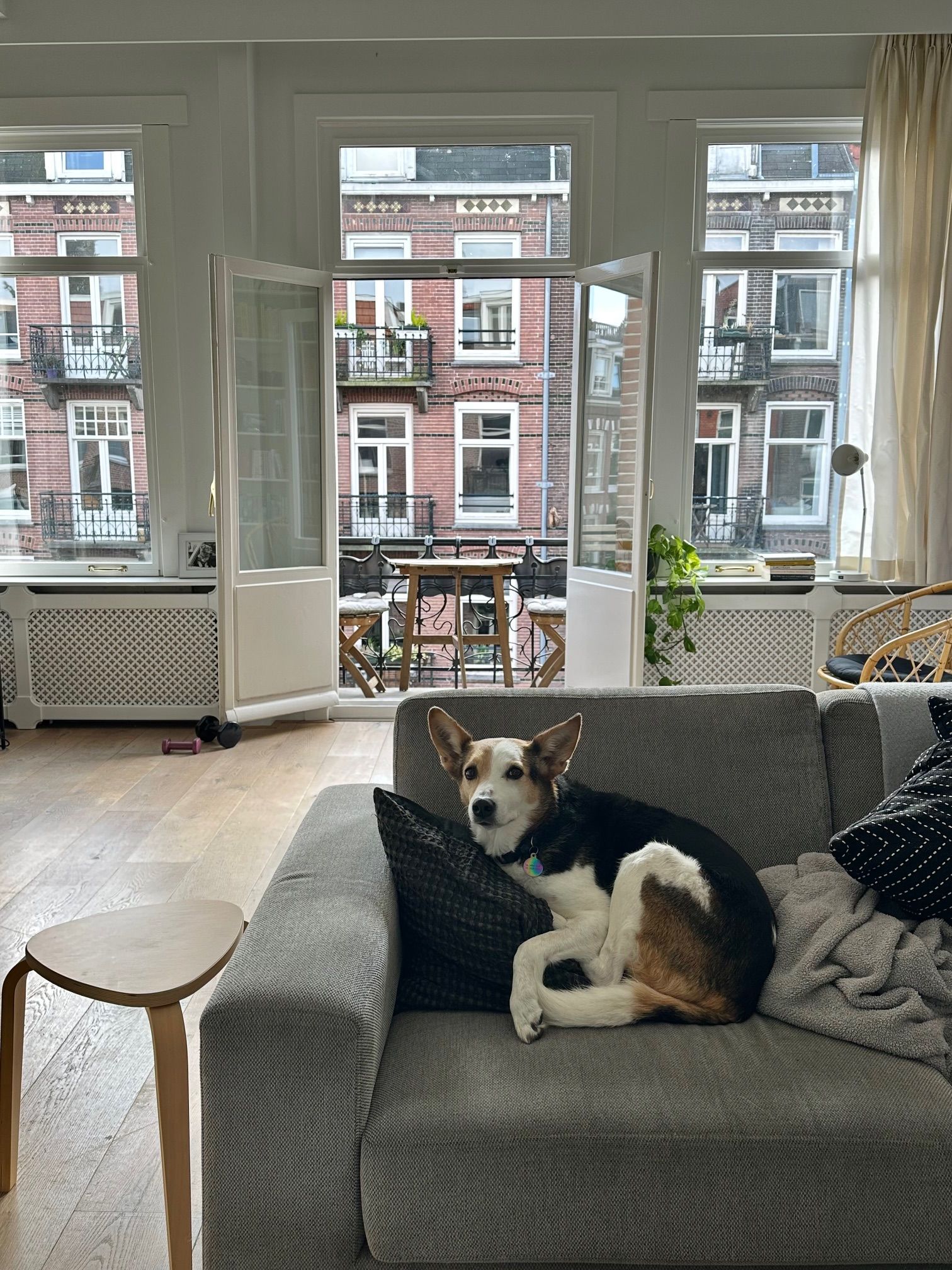 image-14
