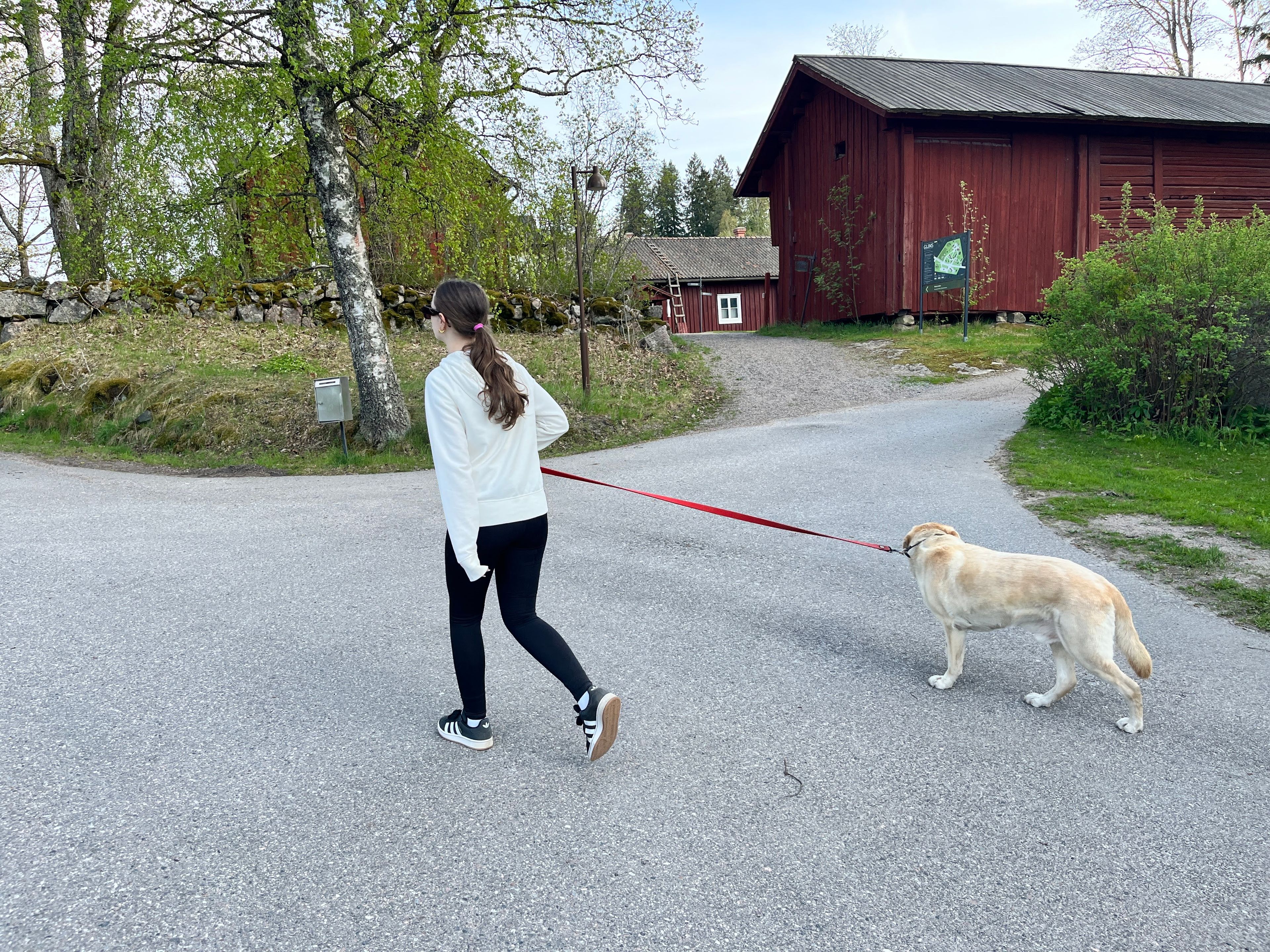 image-13