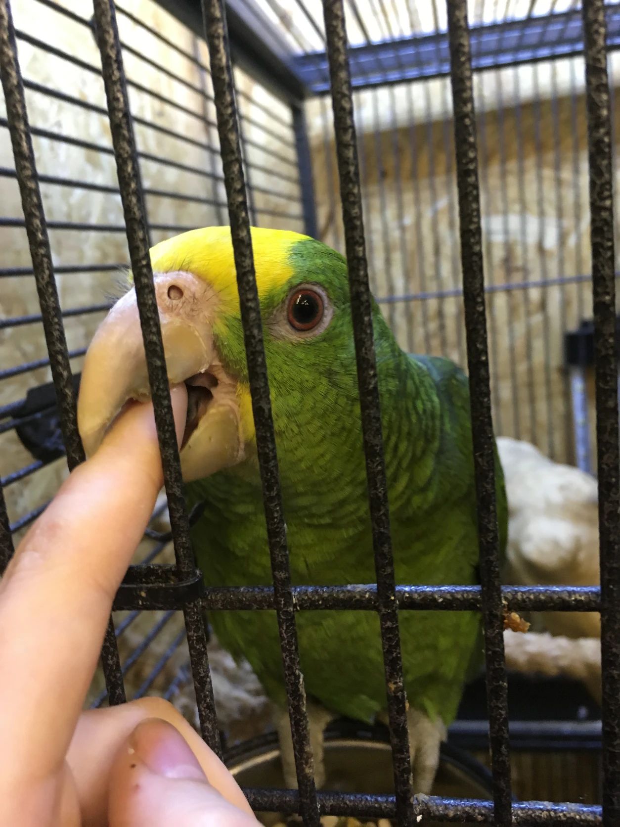 image-8