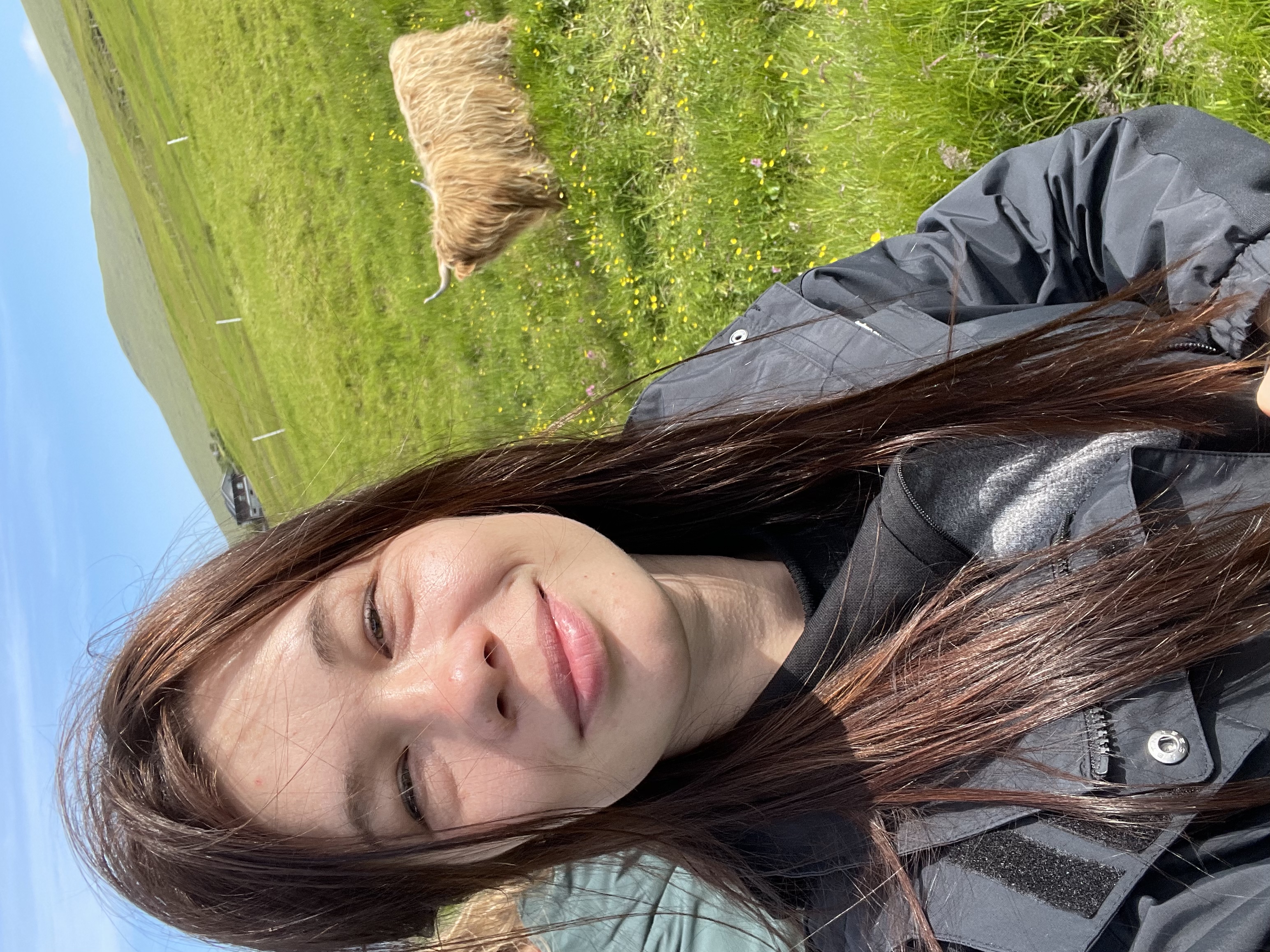 image-13