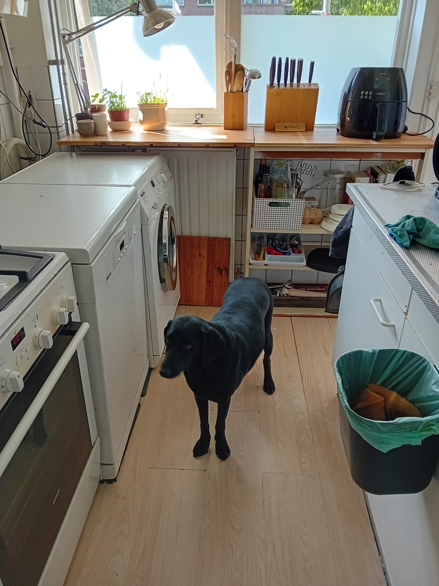 image-9