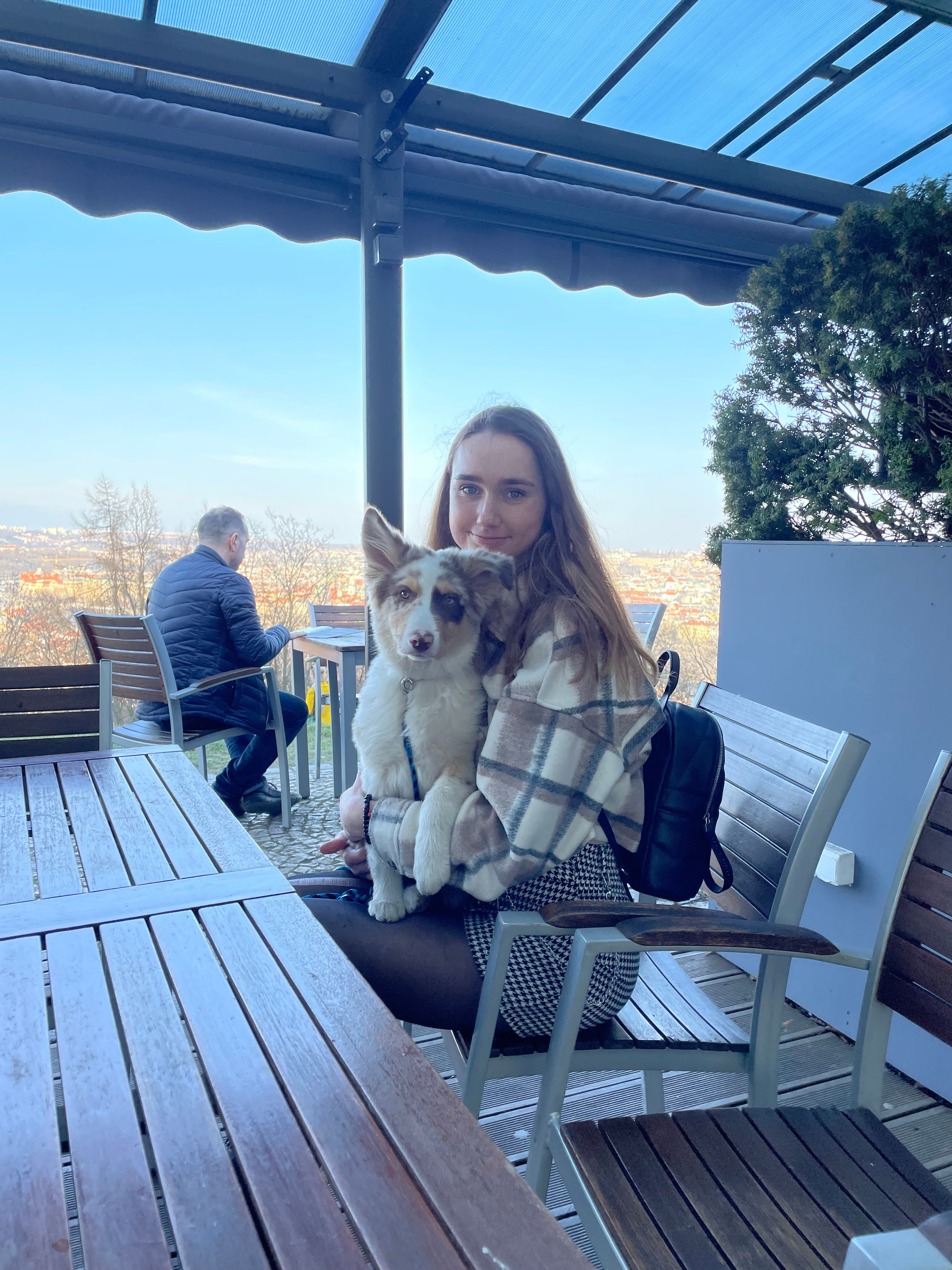 image-6