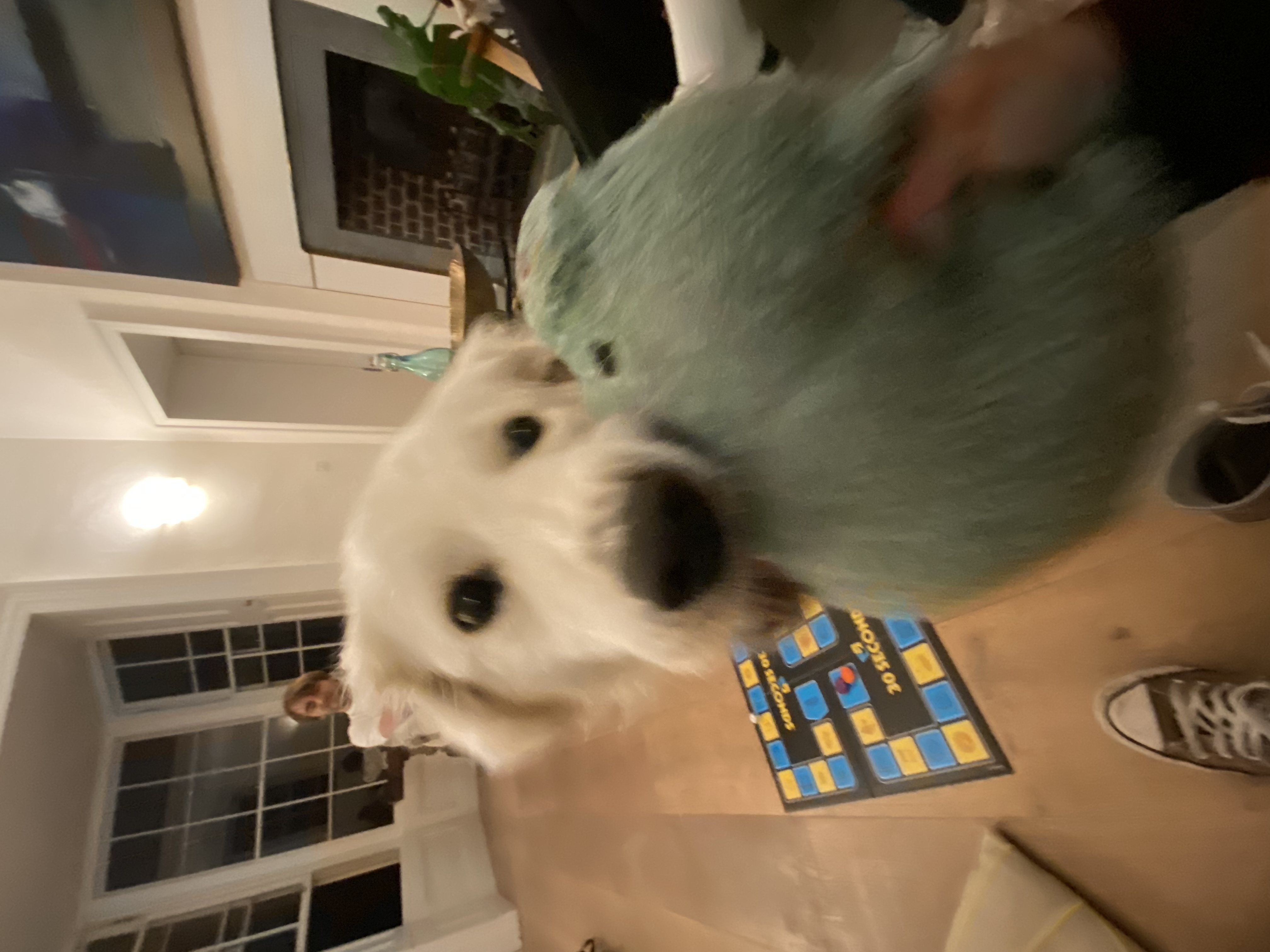 image-11