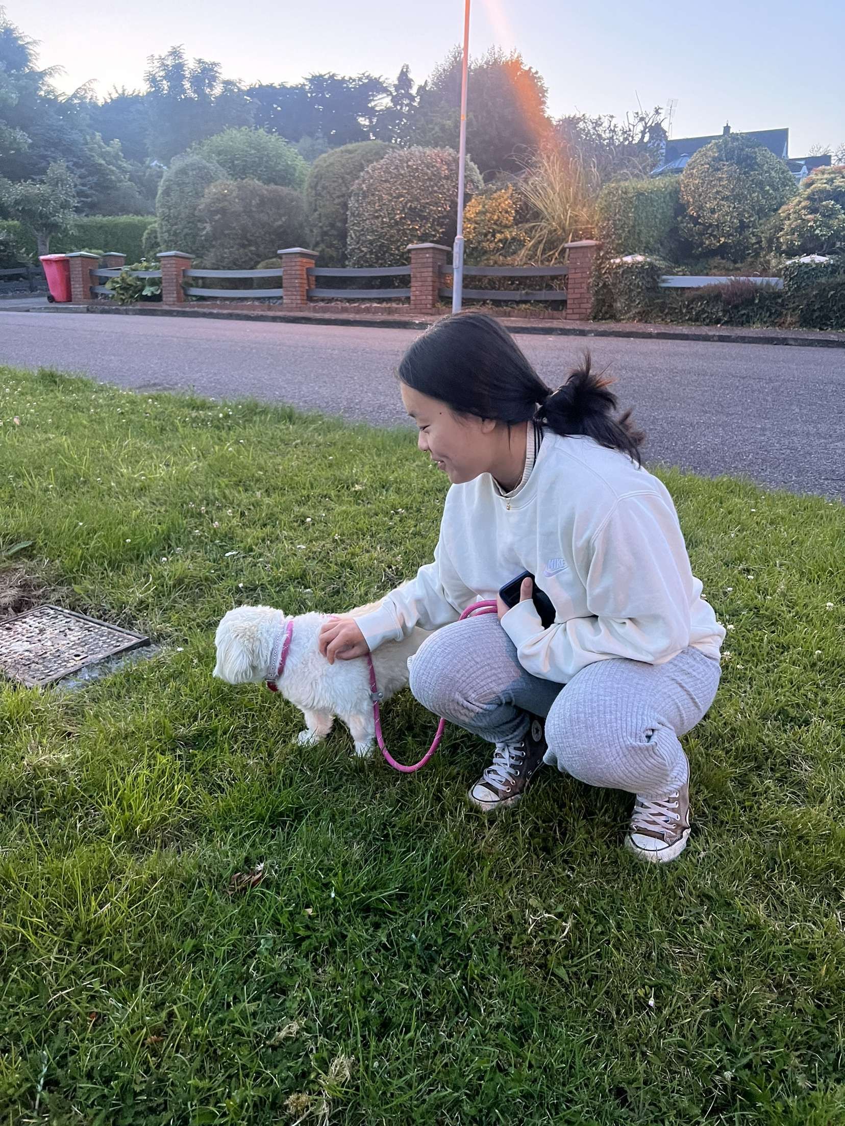 image-2