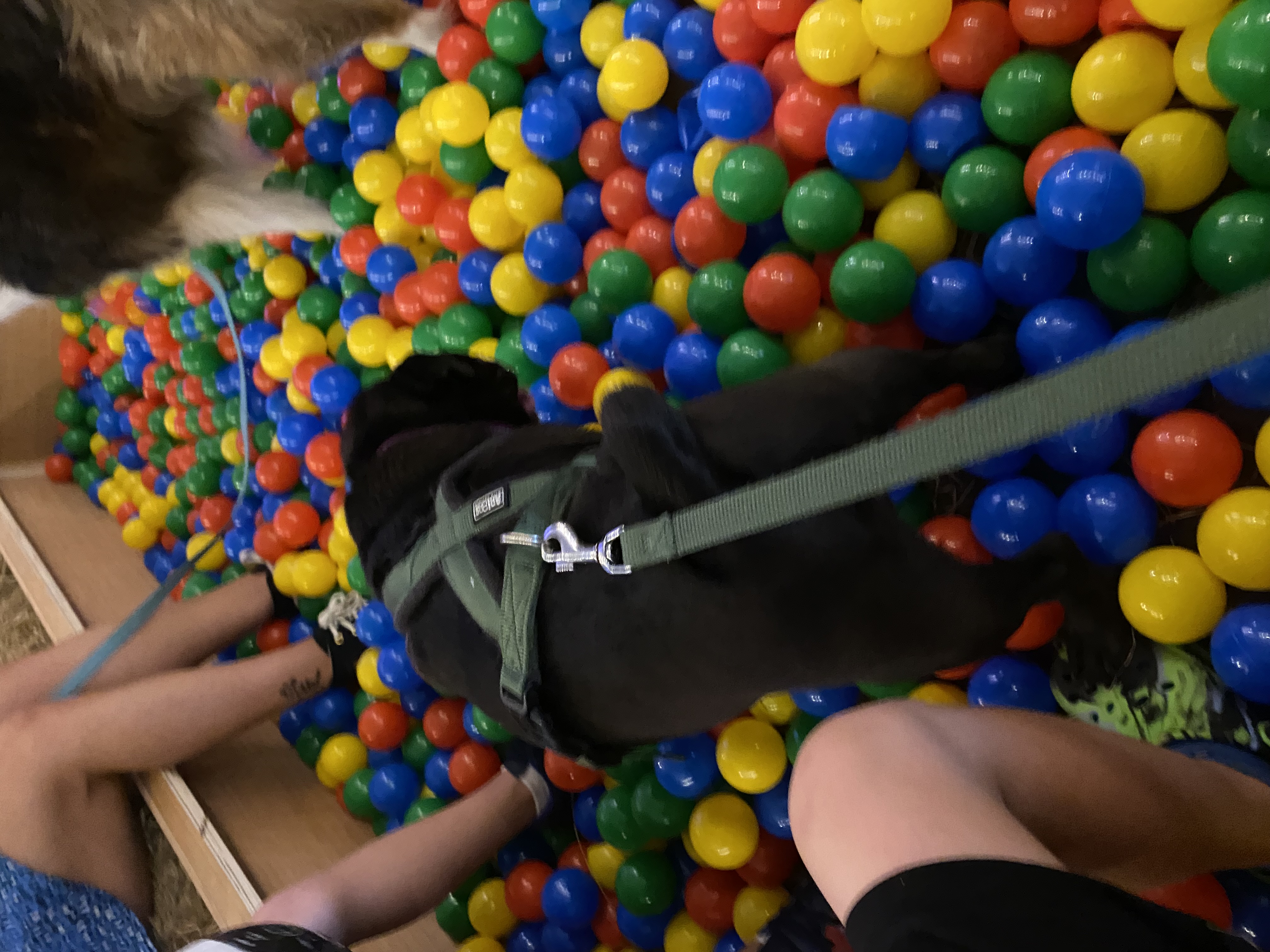 image-10