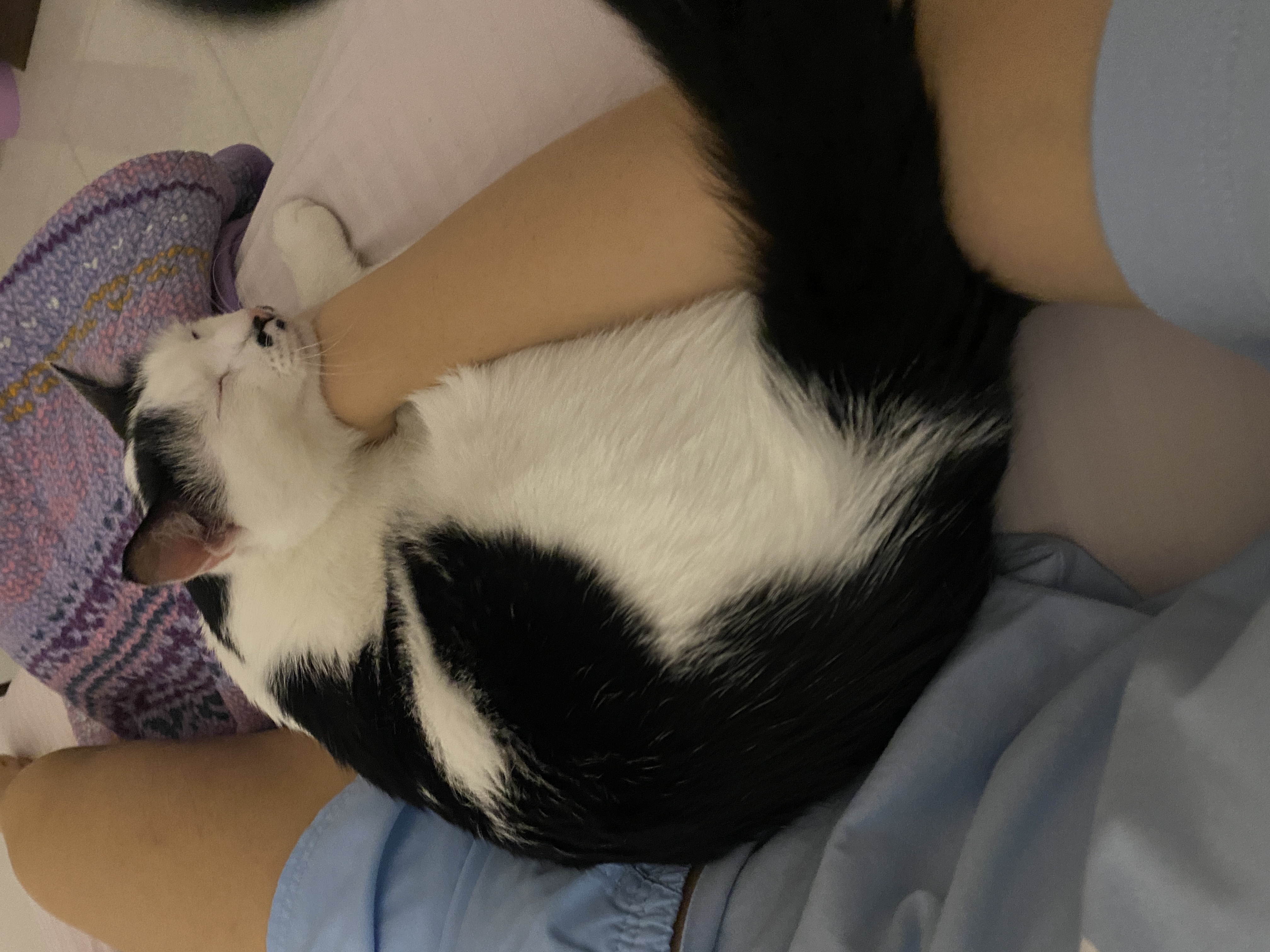 image-6
