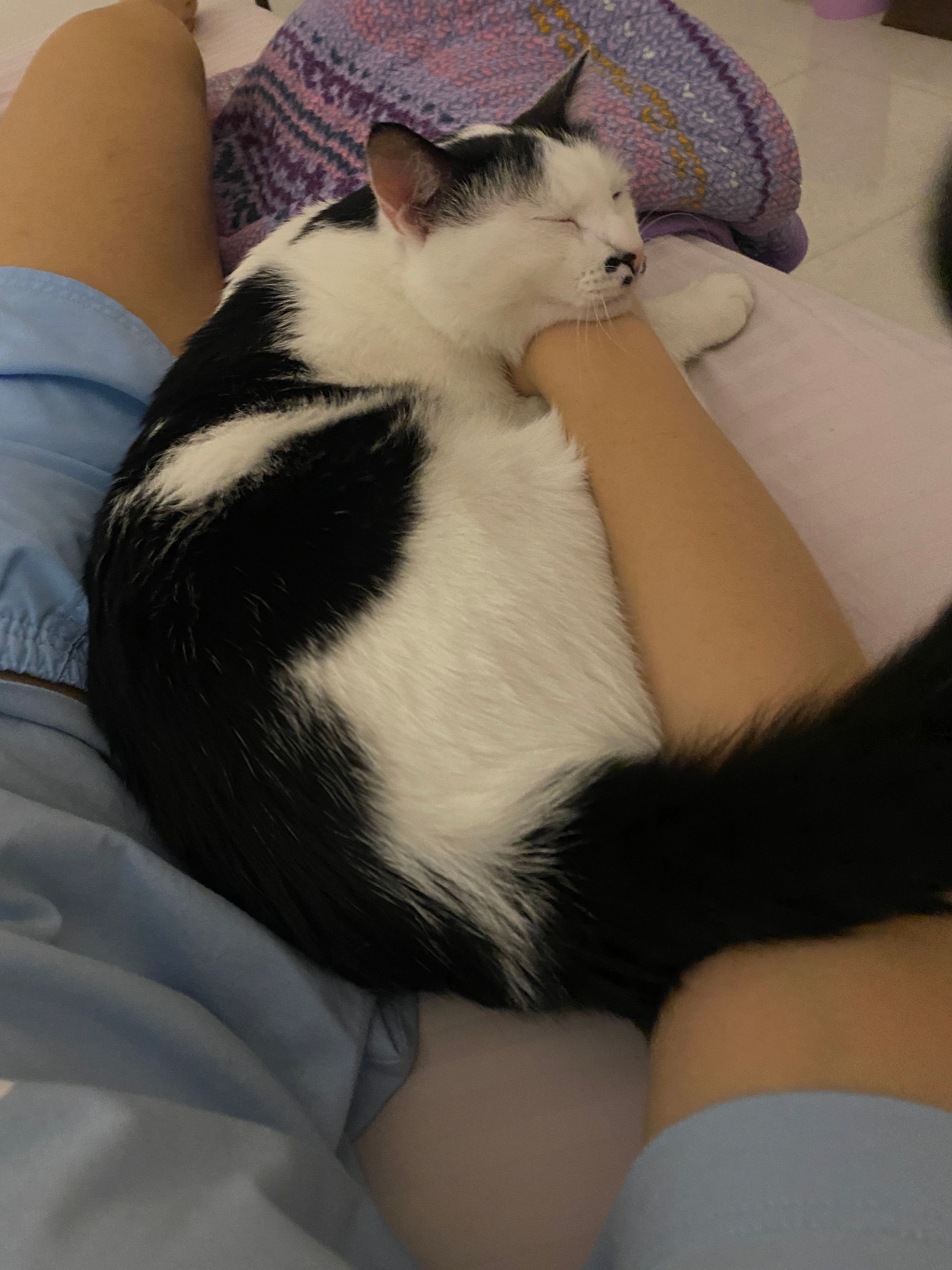 image-6