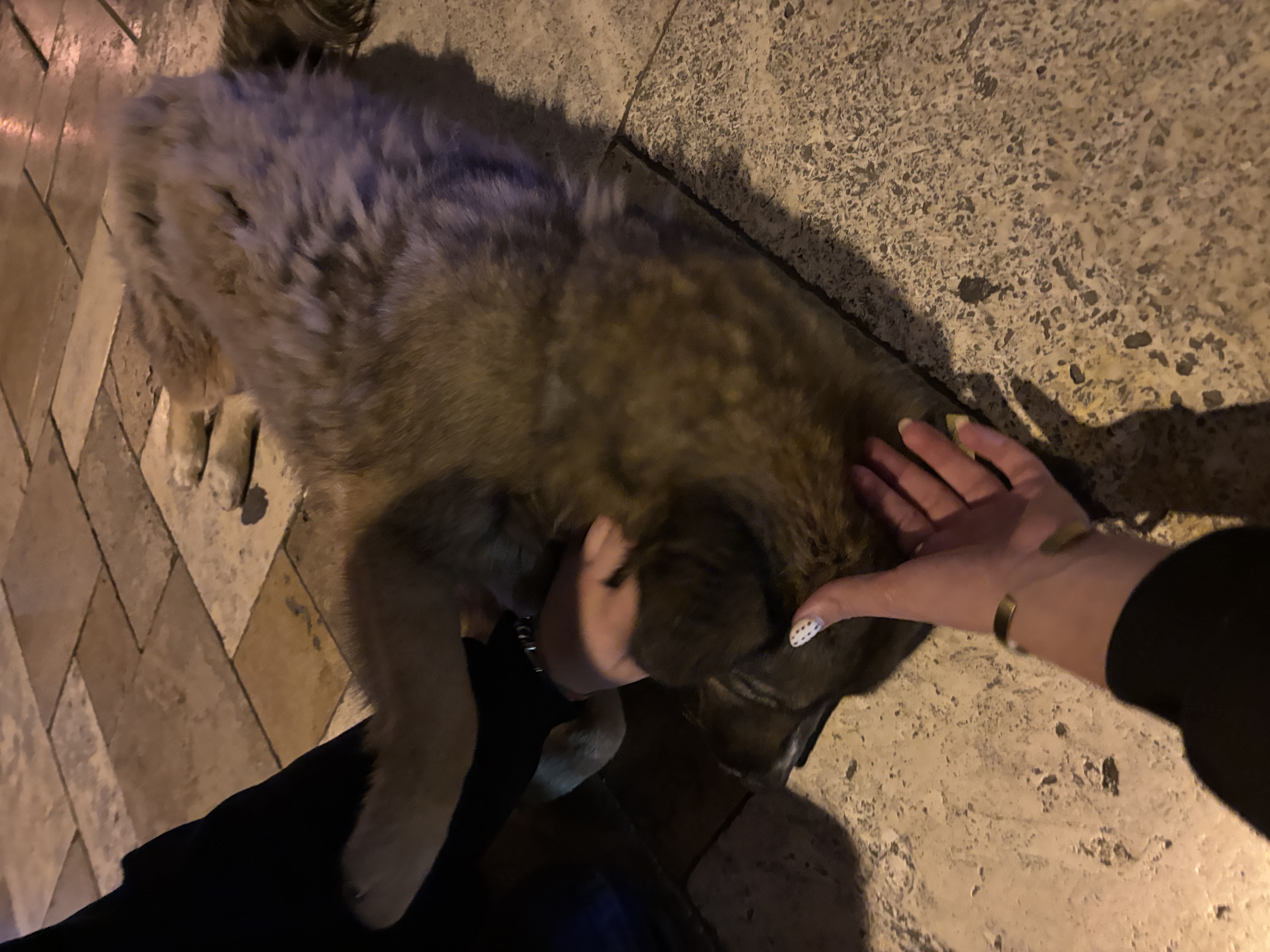 image-6