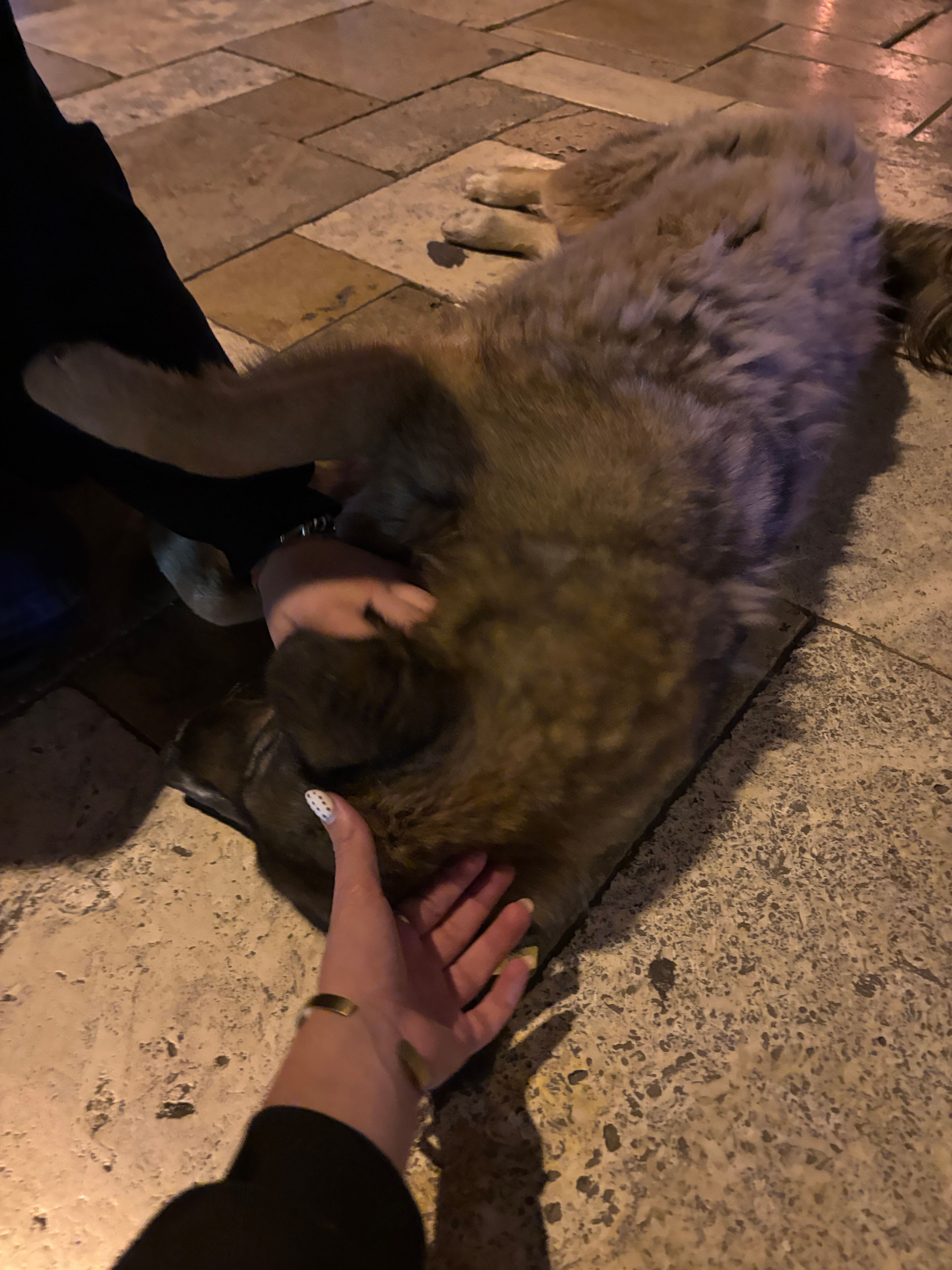 image-6
