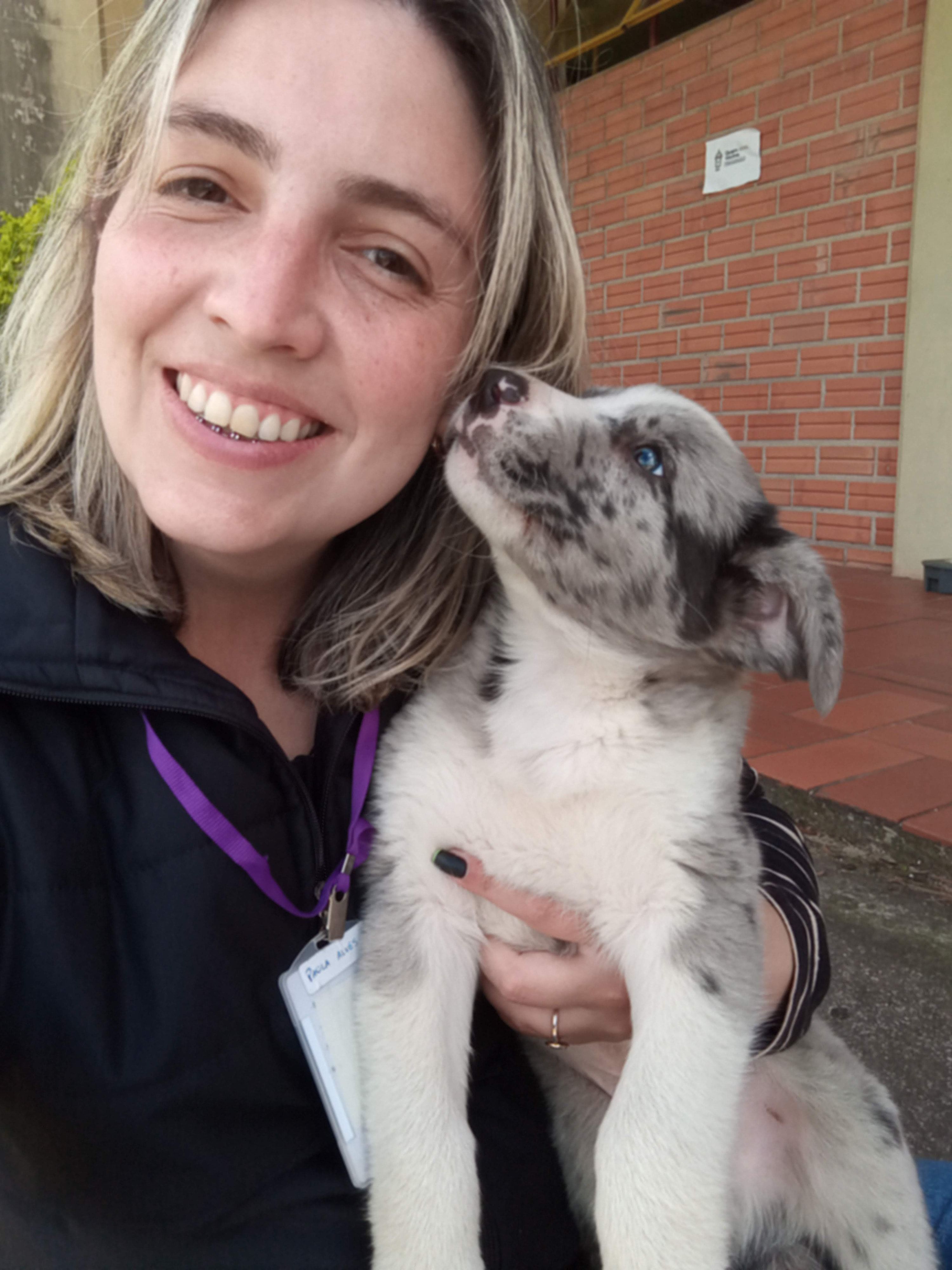 image-2