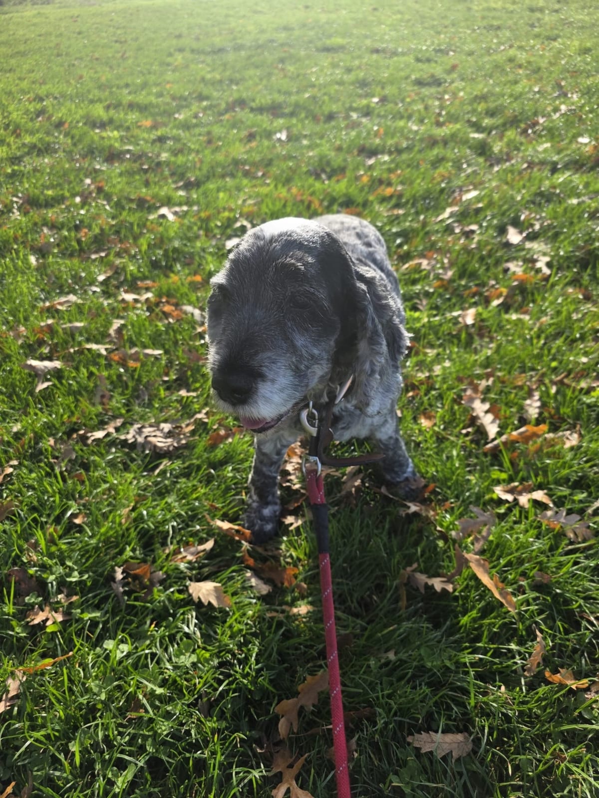image-5