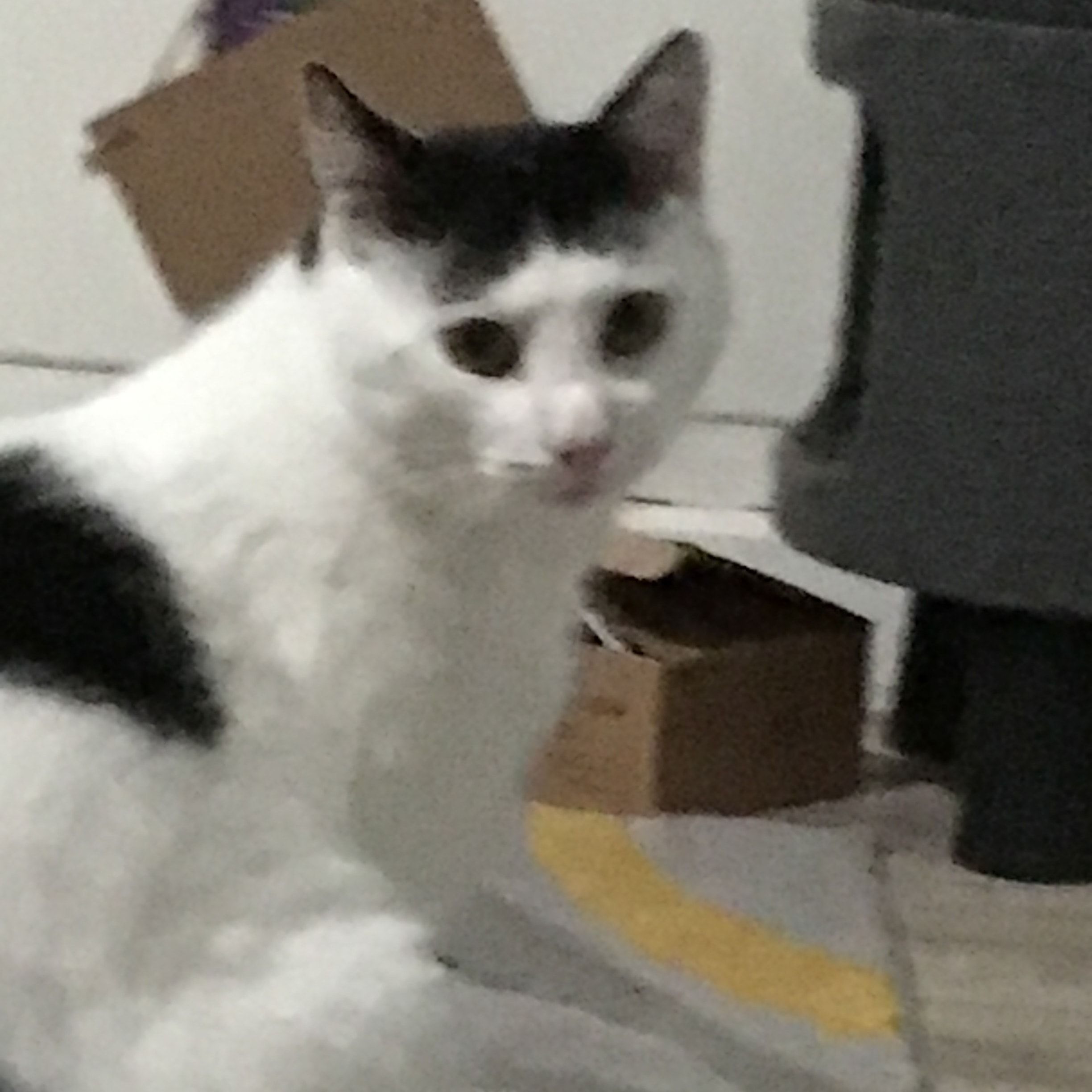 George