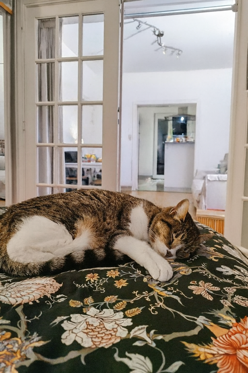 image-8