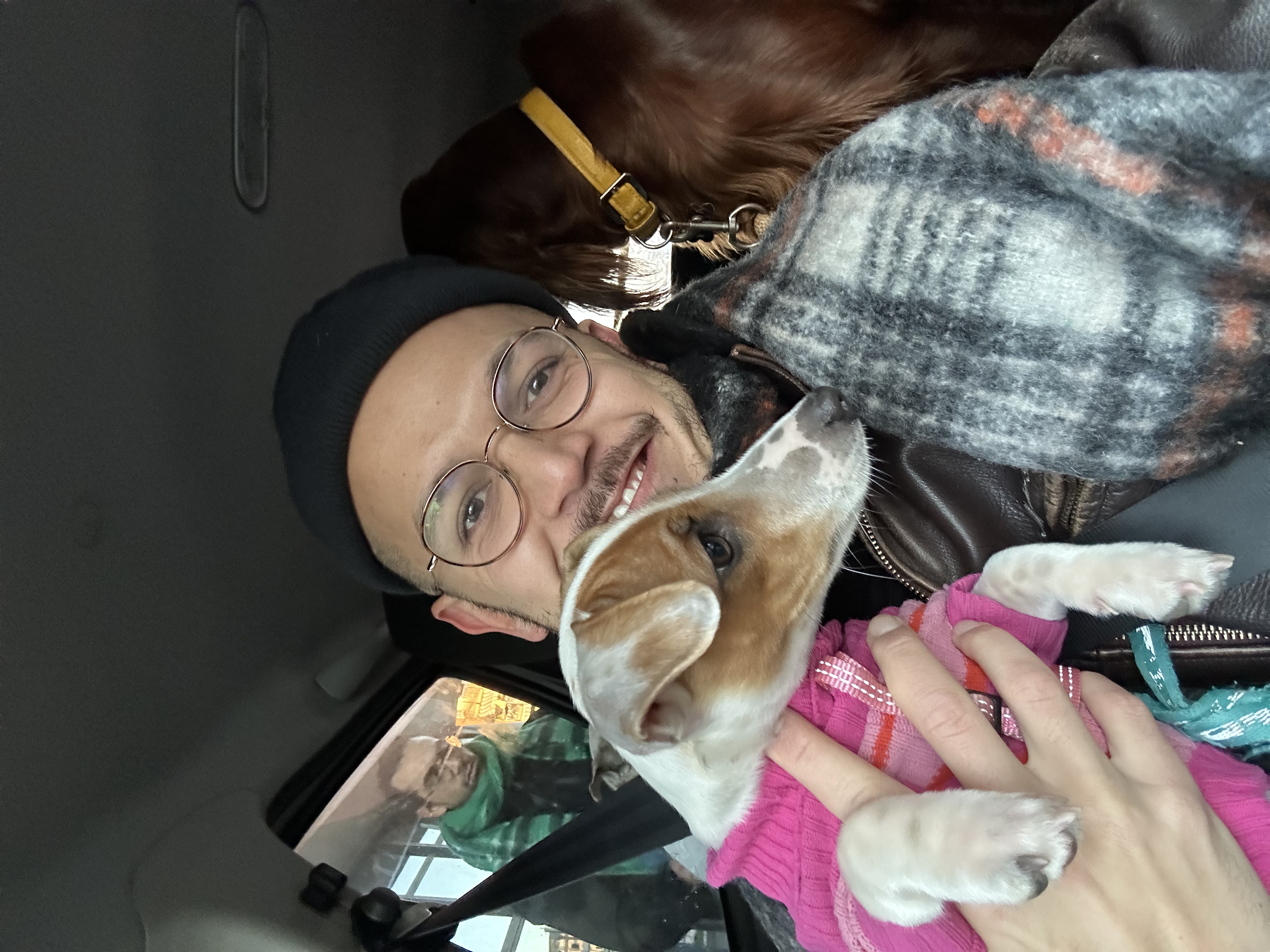 image-8