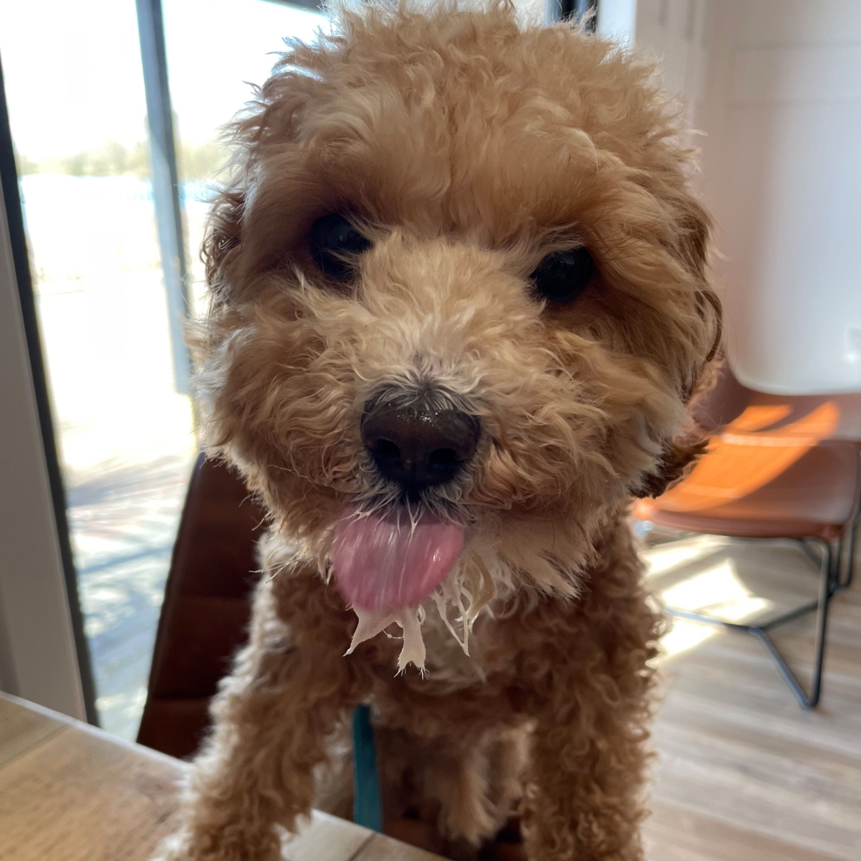 Archie
