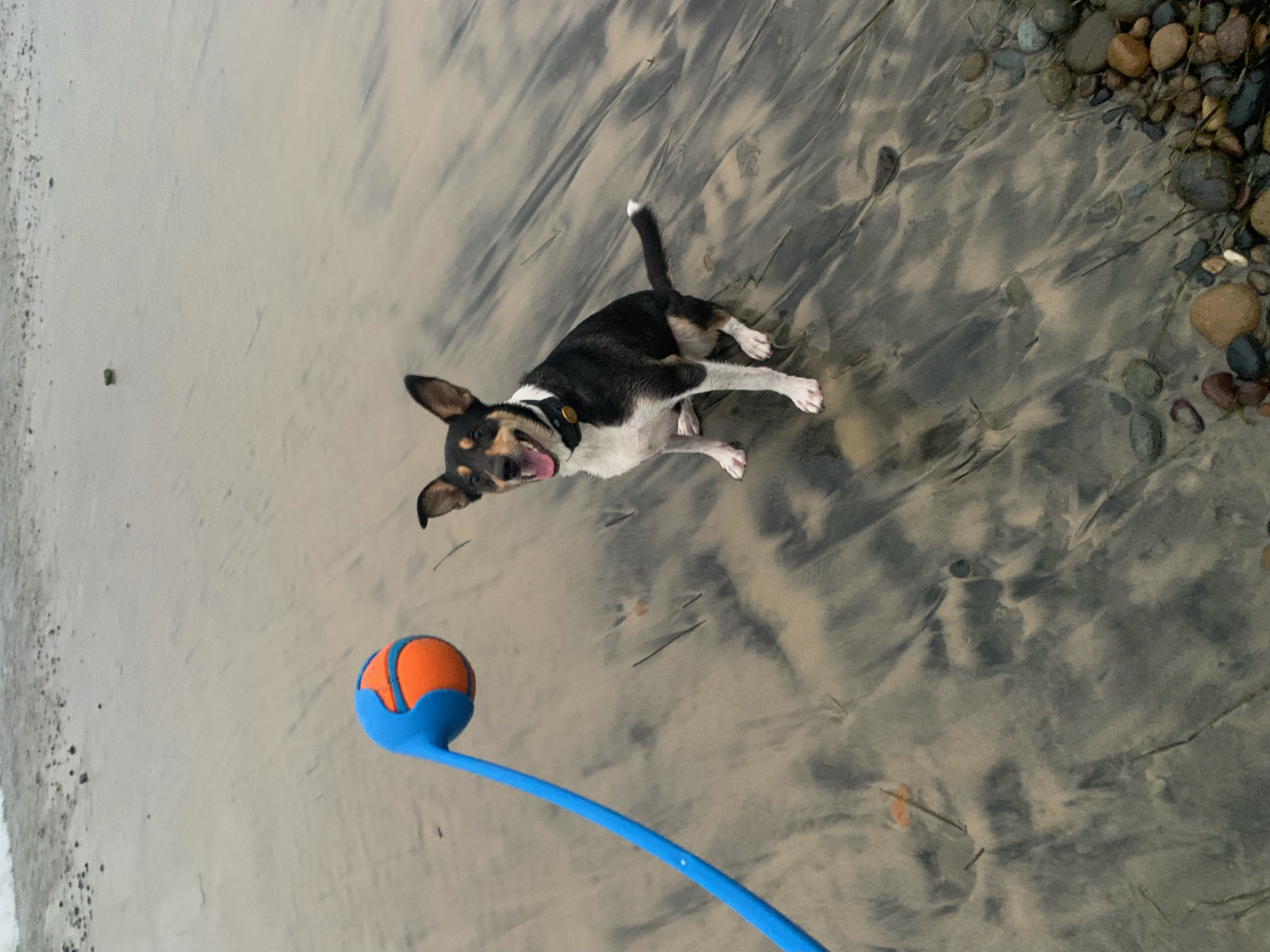 image-9
