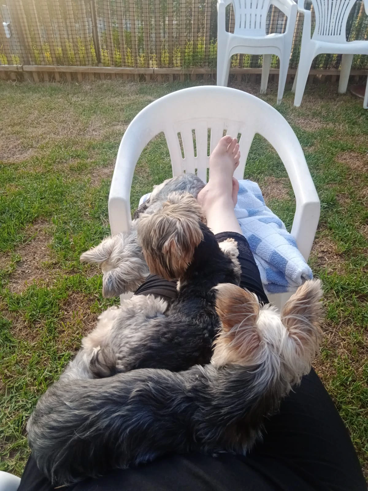 image-6