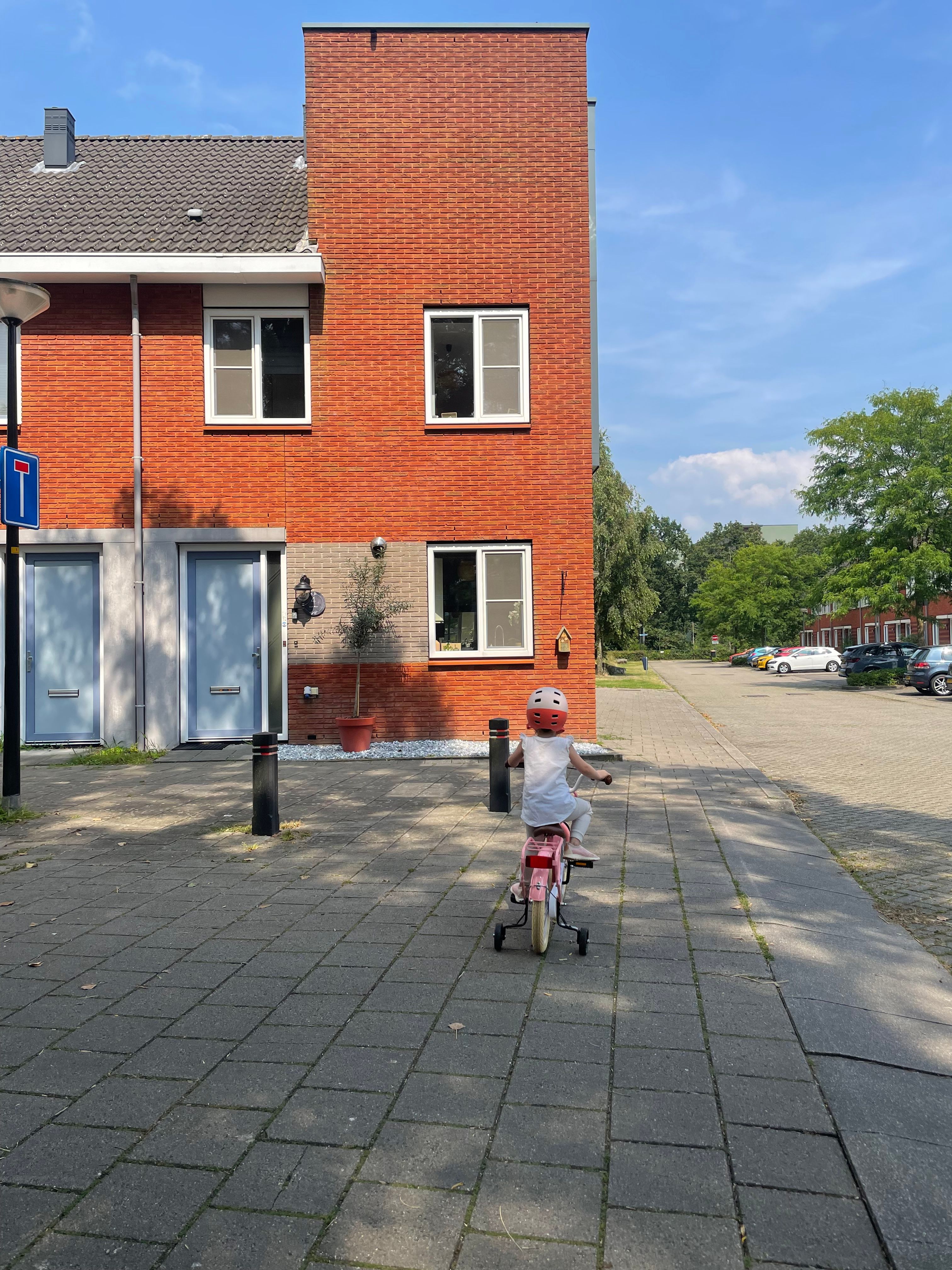 image-14