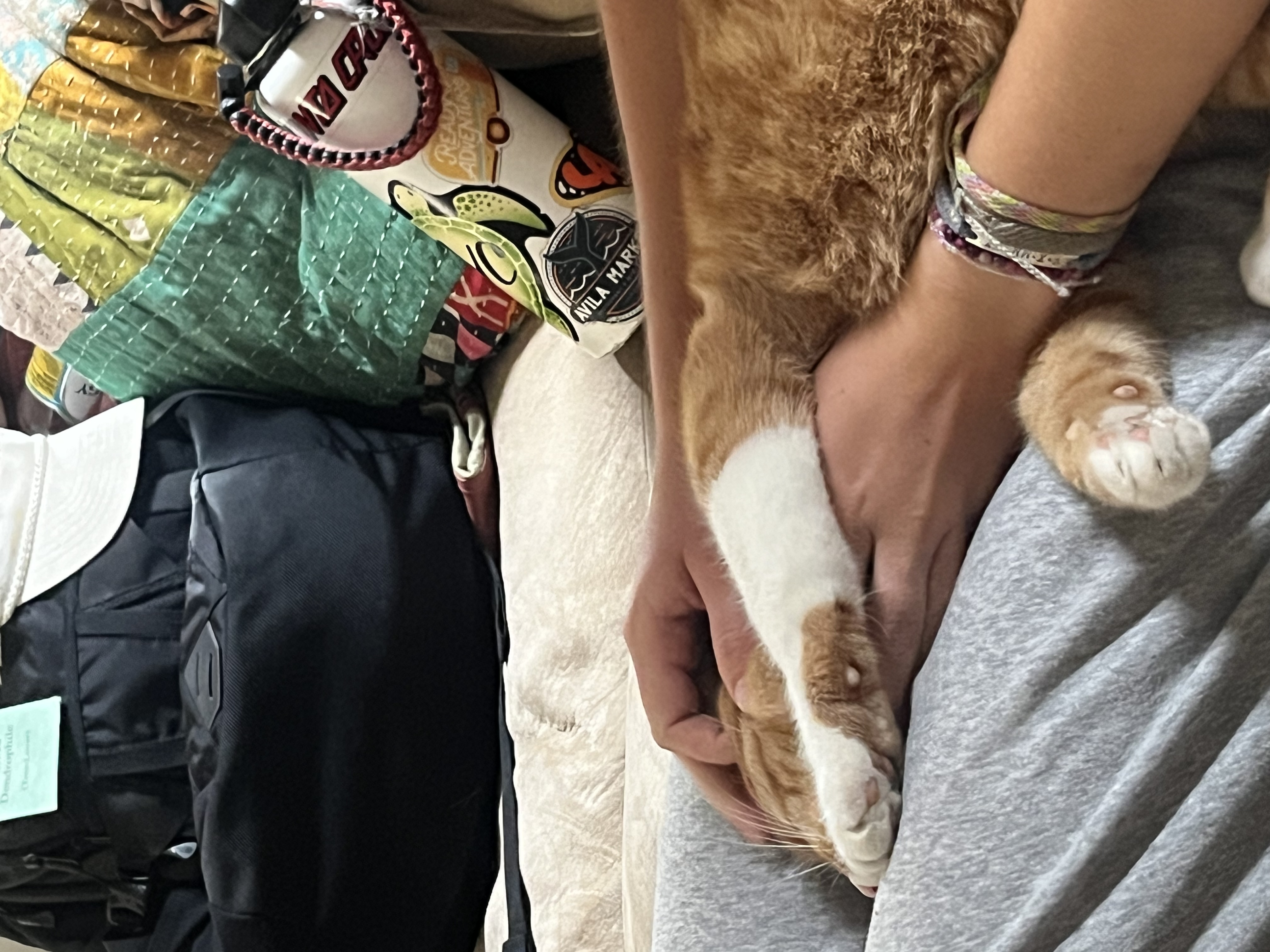 image-8