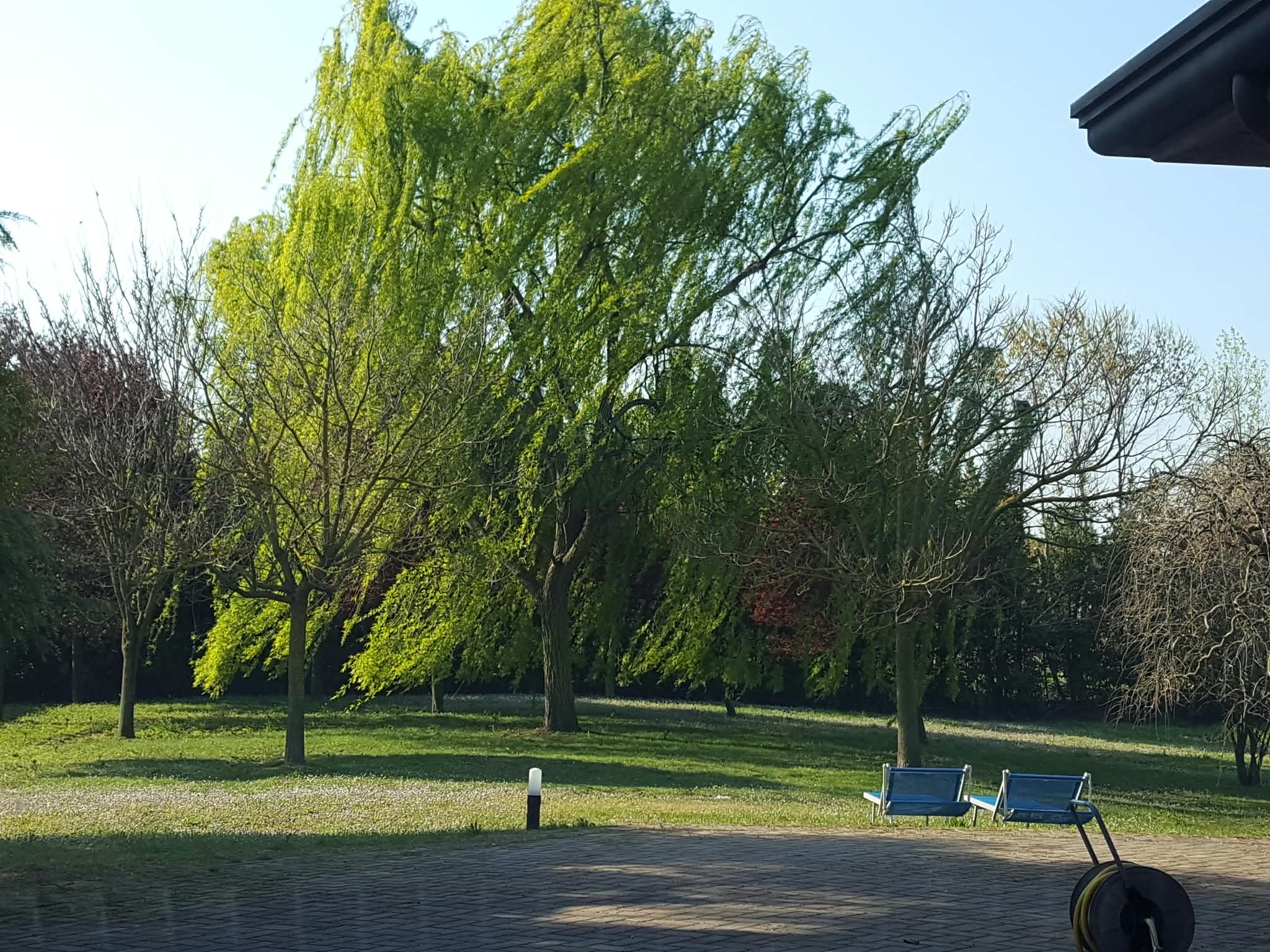 image-14