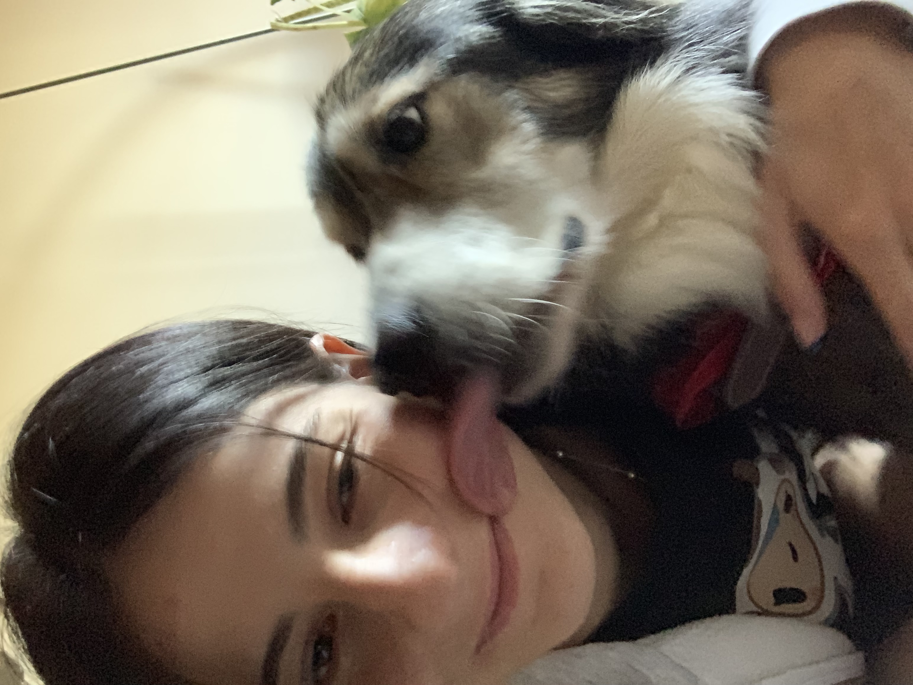 image-4